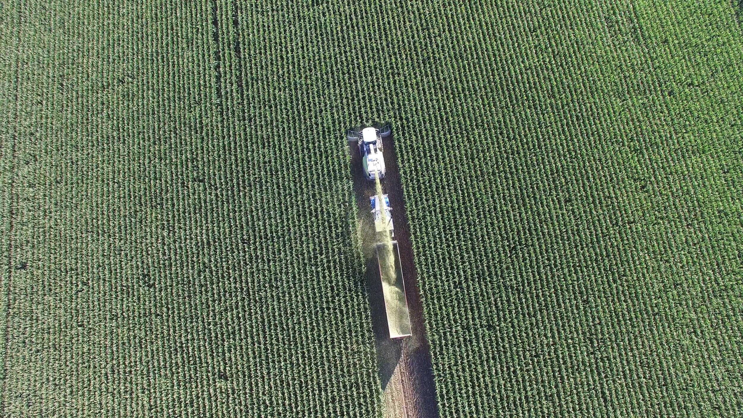 Mulligan Family Protects Acreage in Avon