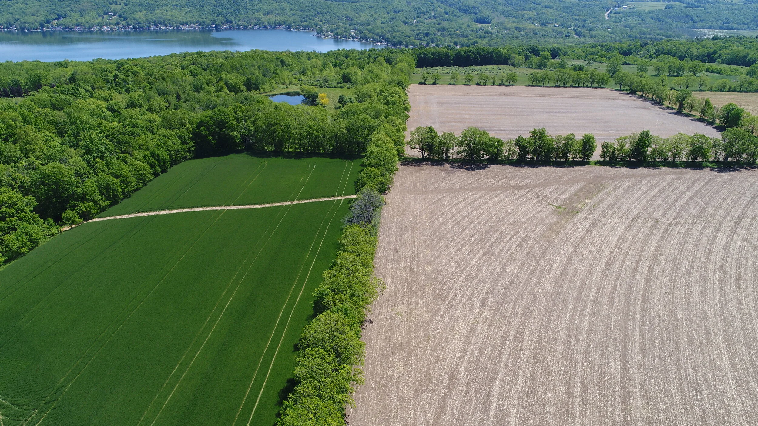 White Family Conserves 208 Year-Old Highgrove Farm in Groveland