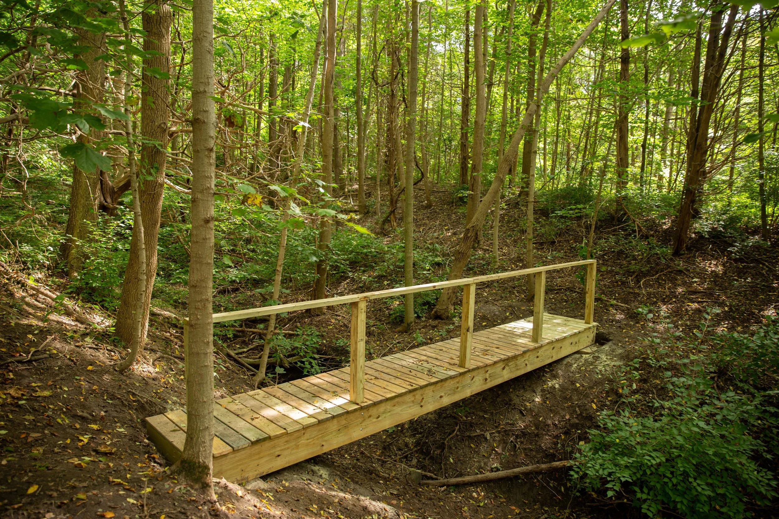 New Bridge Built at Indian Fort Nature Preserve