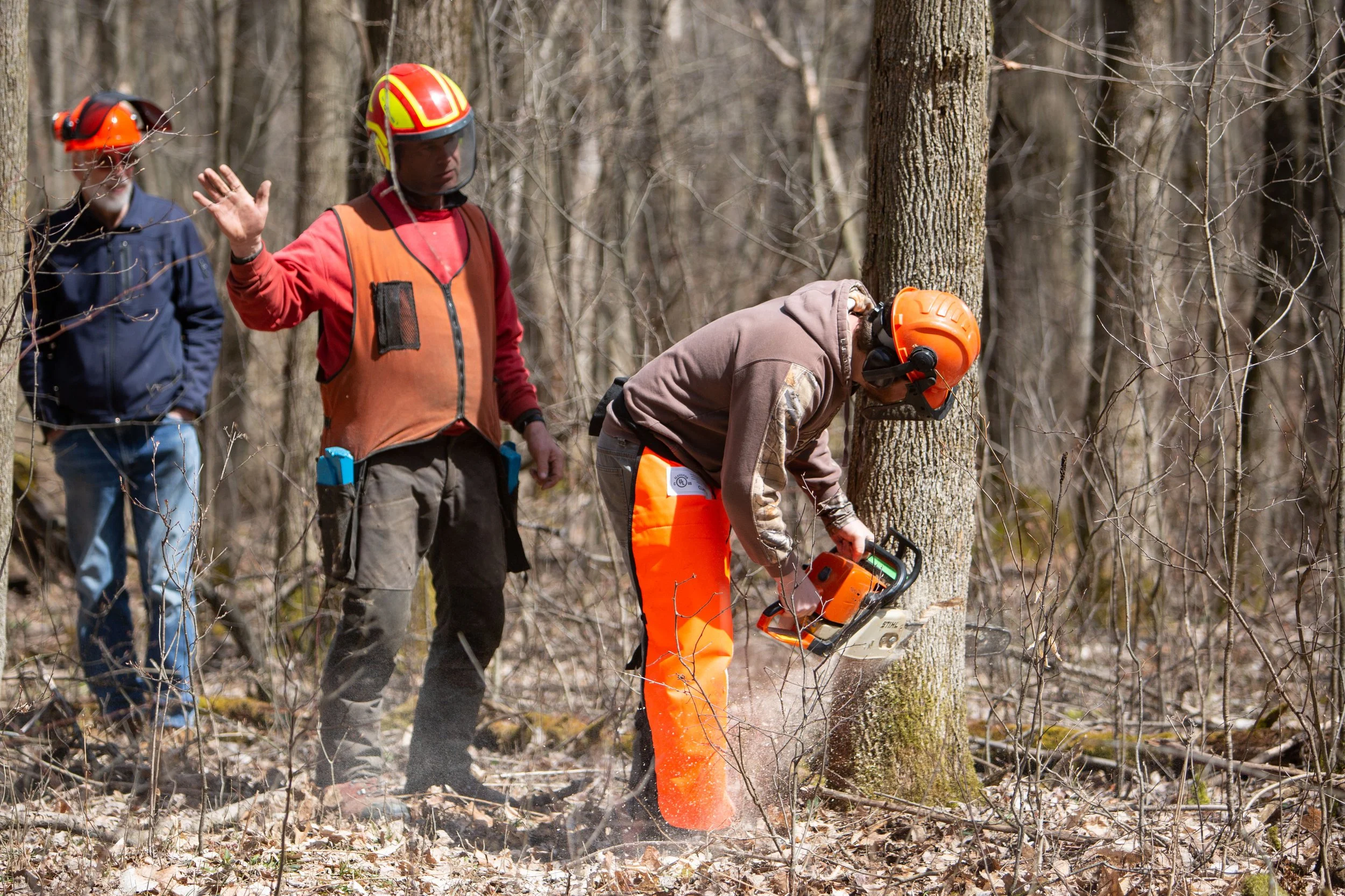 Nature Preserve is Host Site for Chainsaw Safety Training