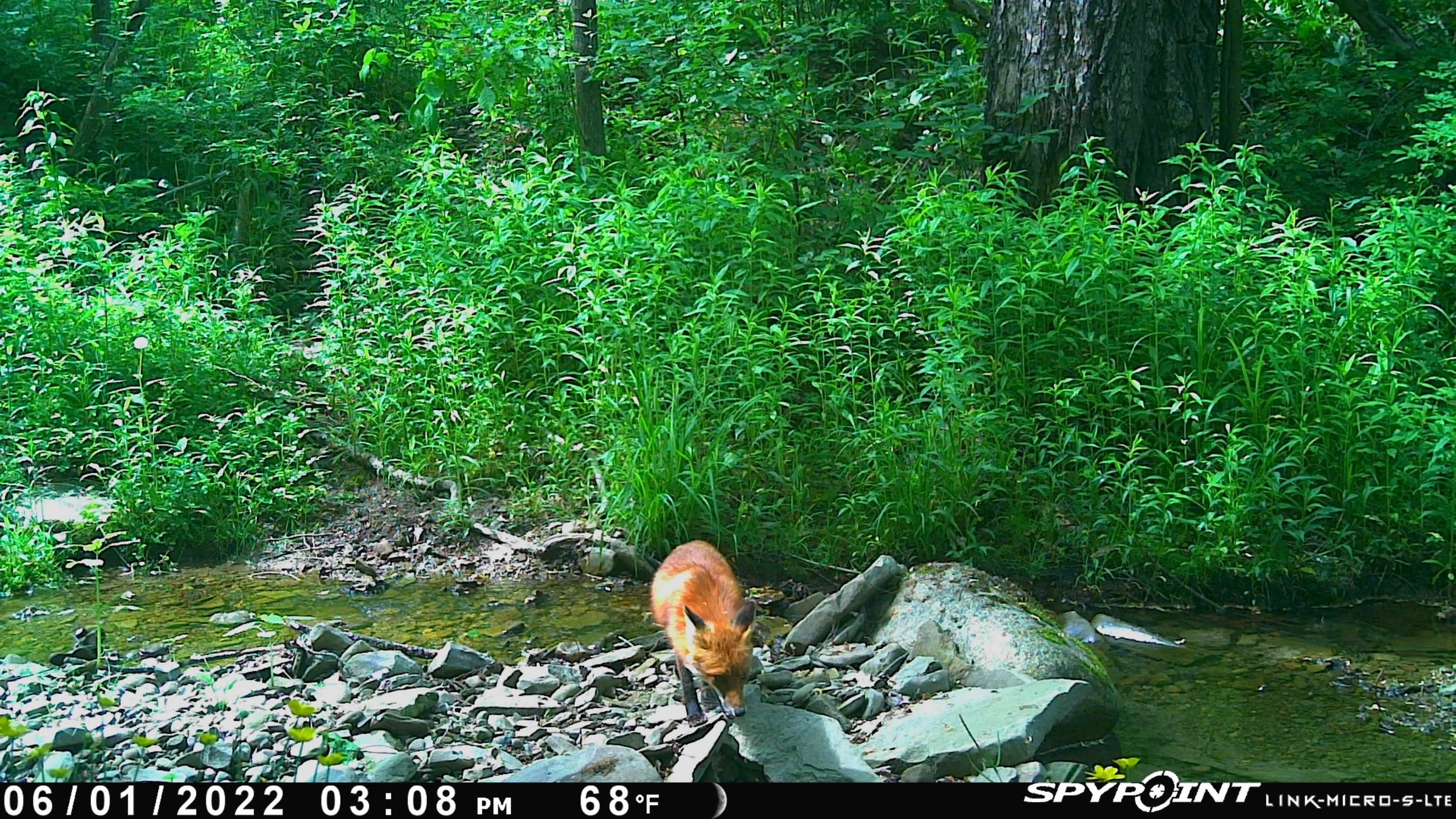 New York Voters Pass Environmental Bond Act