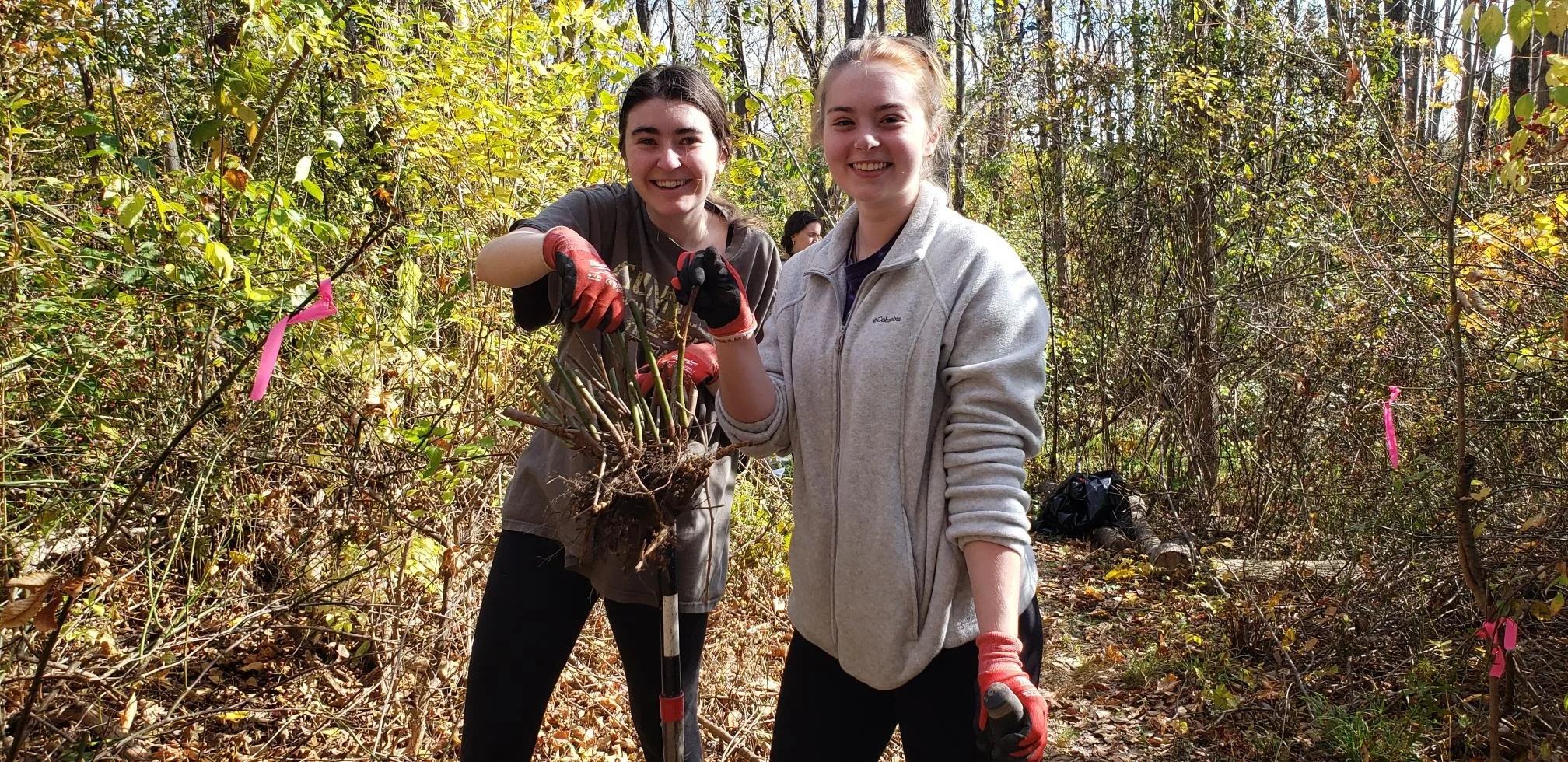 Volunteers Help Improve Local Nature Preserves