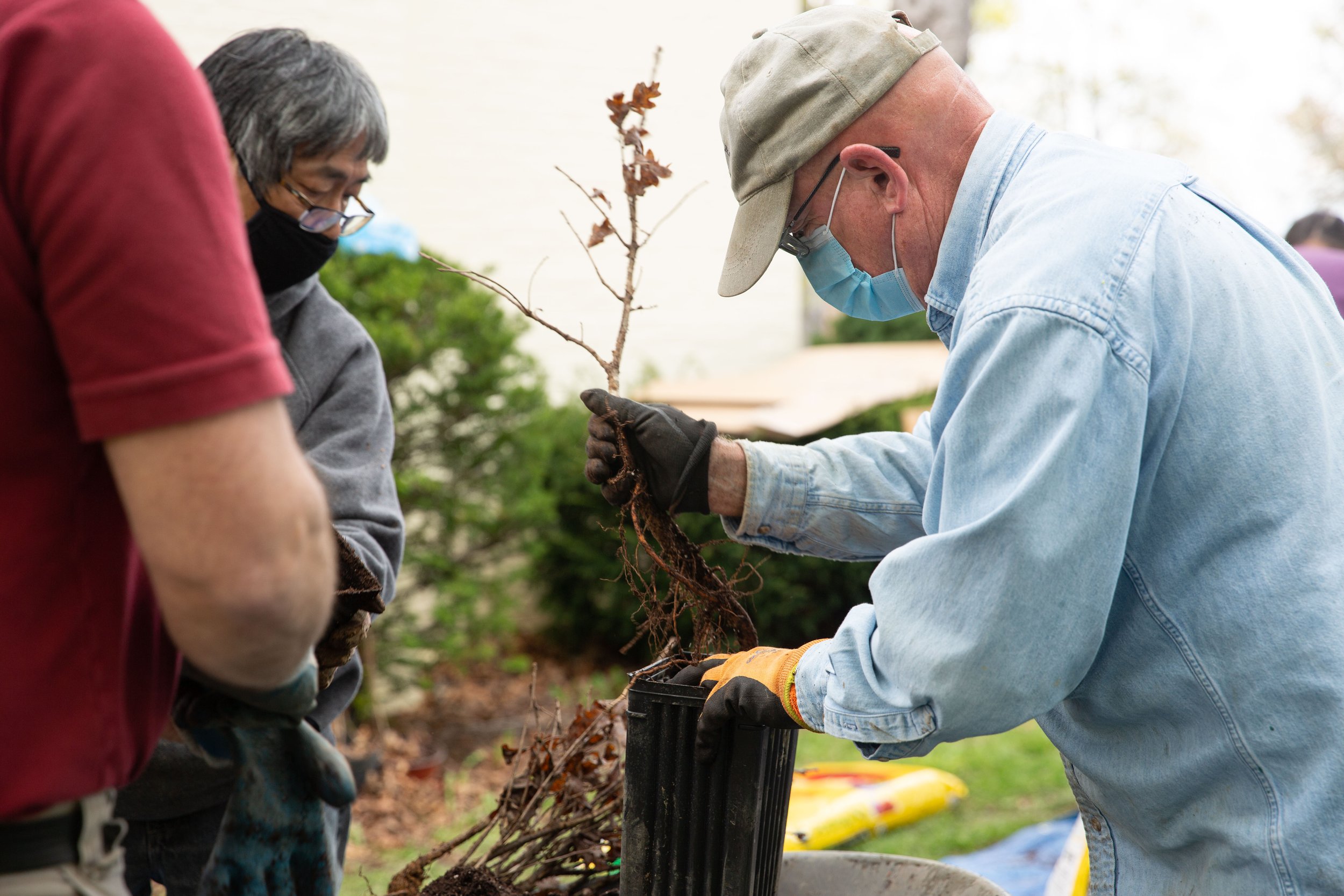 Tree Potting Day
