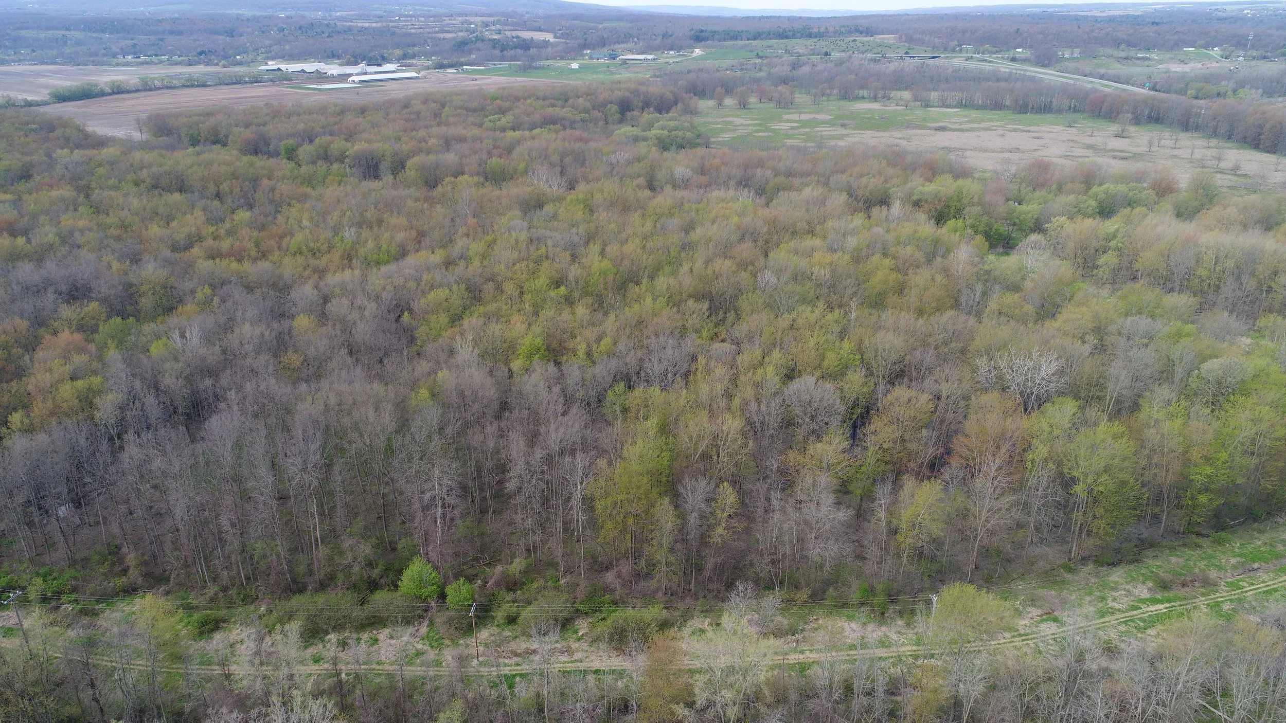 DJI_0081.JPG