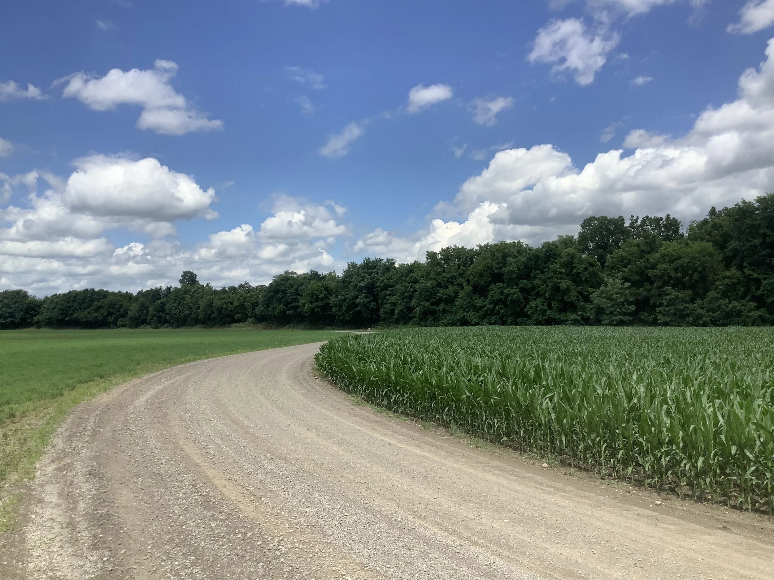 Sparta Farms Protect Farmland With 57% Prime Soils