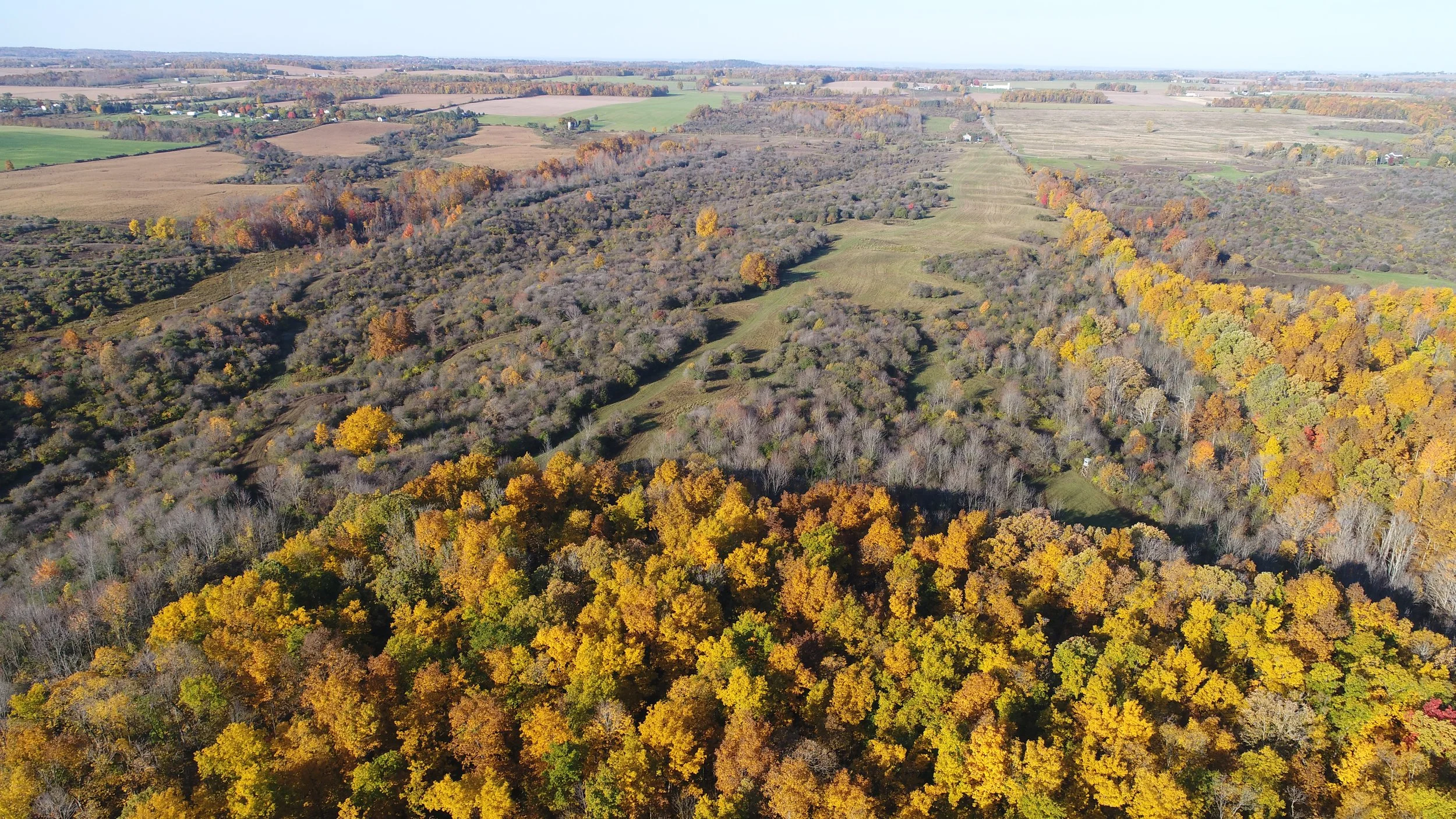 Additional Lands Protected Along Honeoye Creek