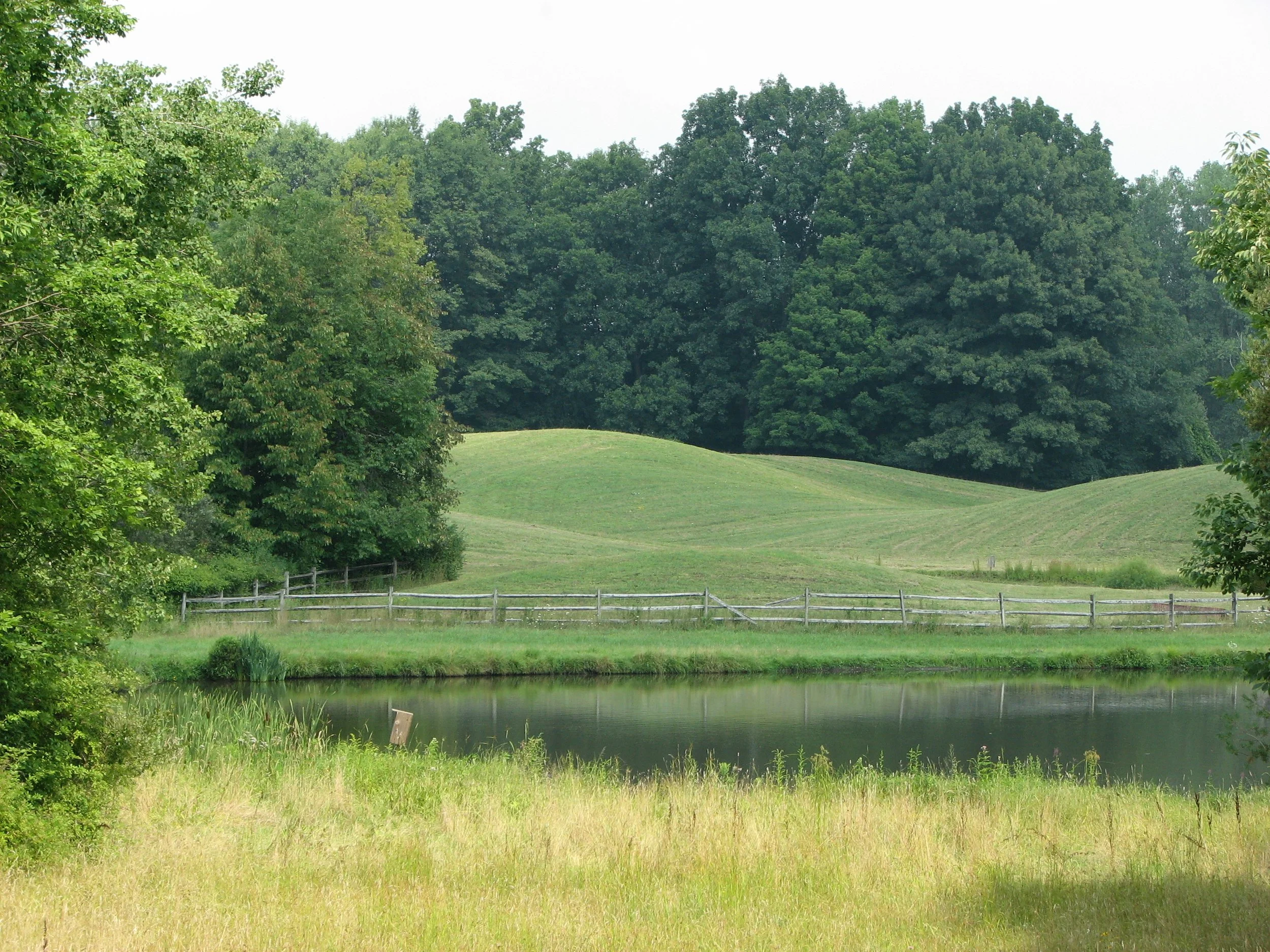 Interested in Joining a Committee or the Board?