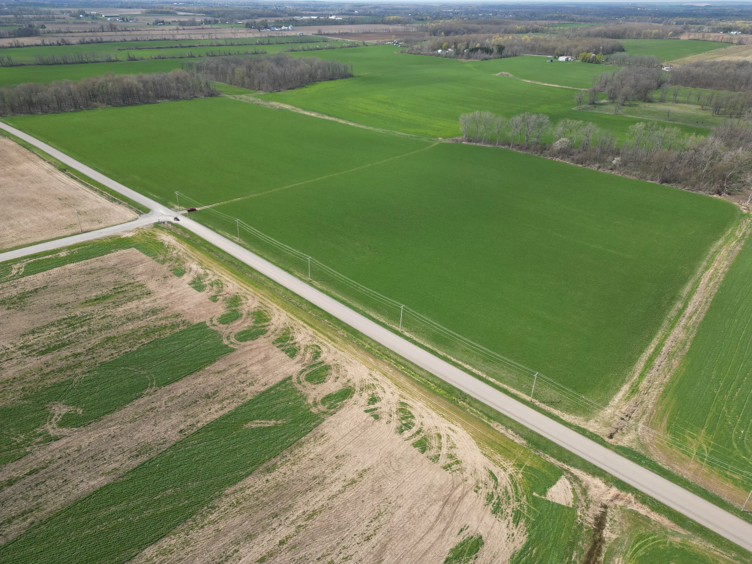 Stein Brothers Protect Caledonia Farmland