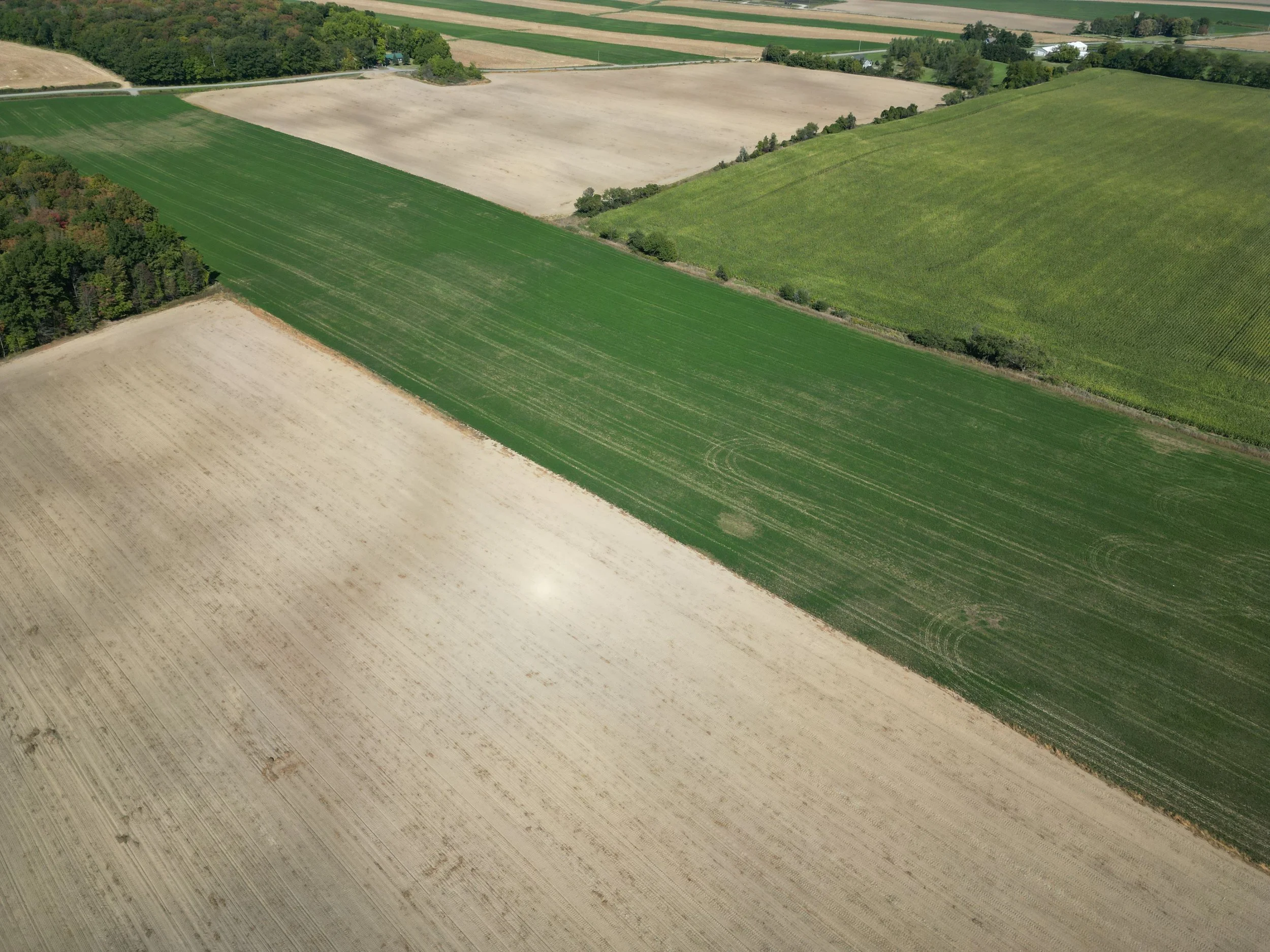 DJI_0100.JPG