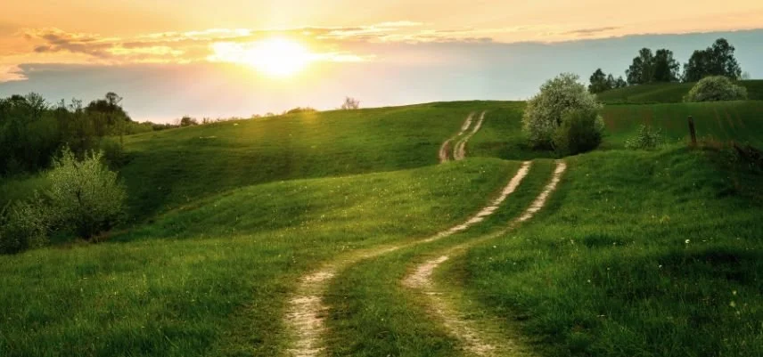 Workshop: Planning a Farm Transfer