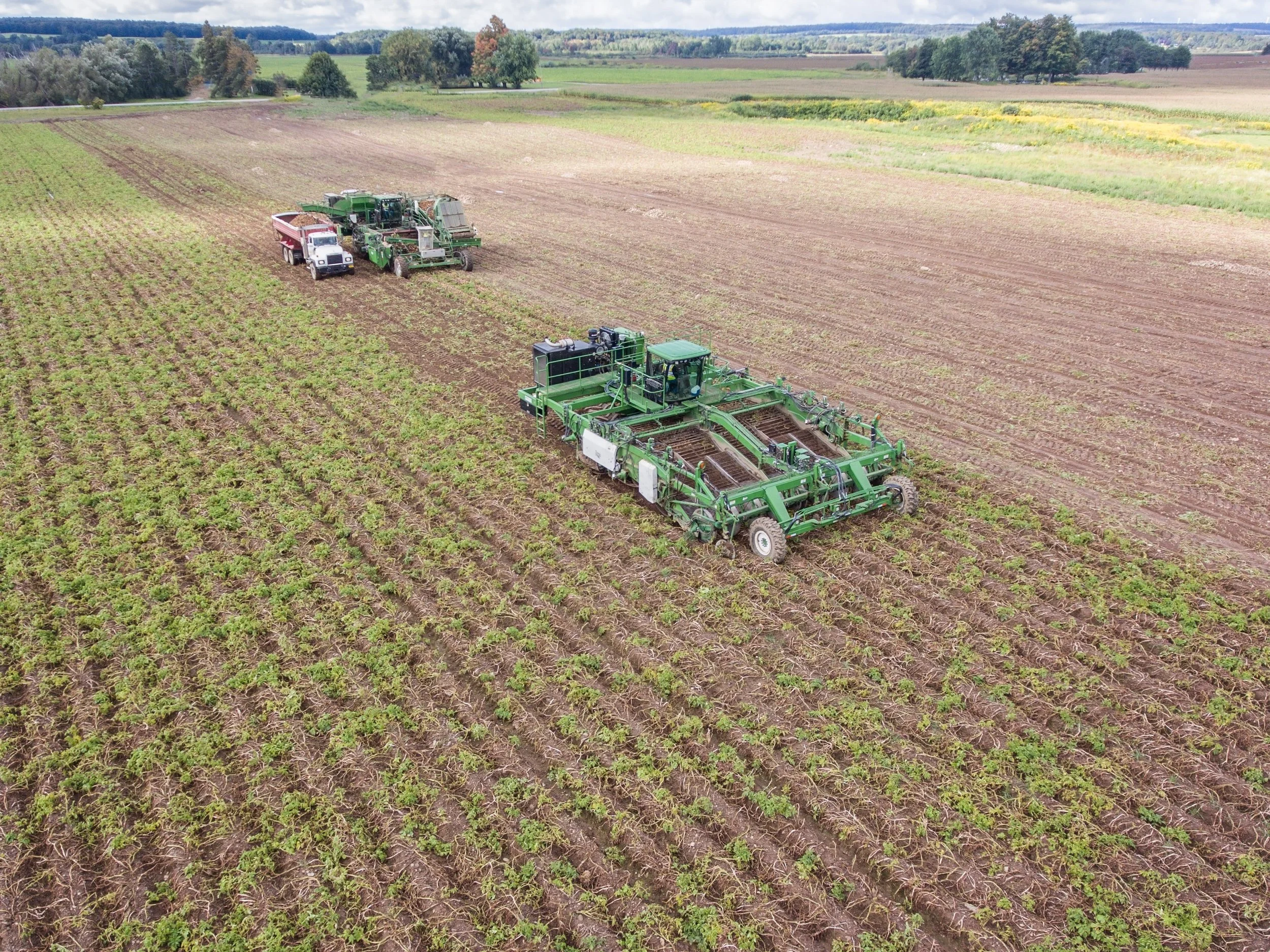 Brothers Behind NY Chips Protect Farmland
