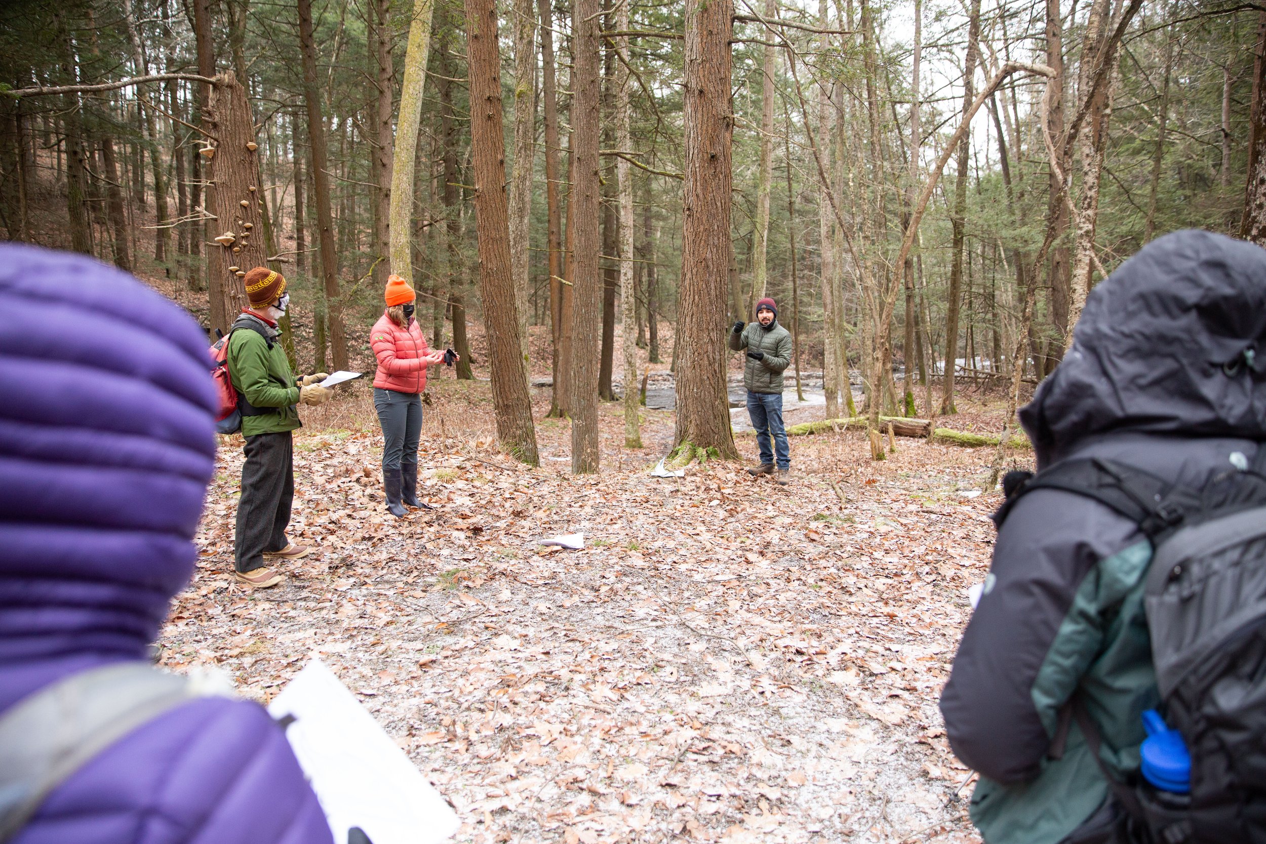 Hemlock Woolly Adelgid Workshop