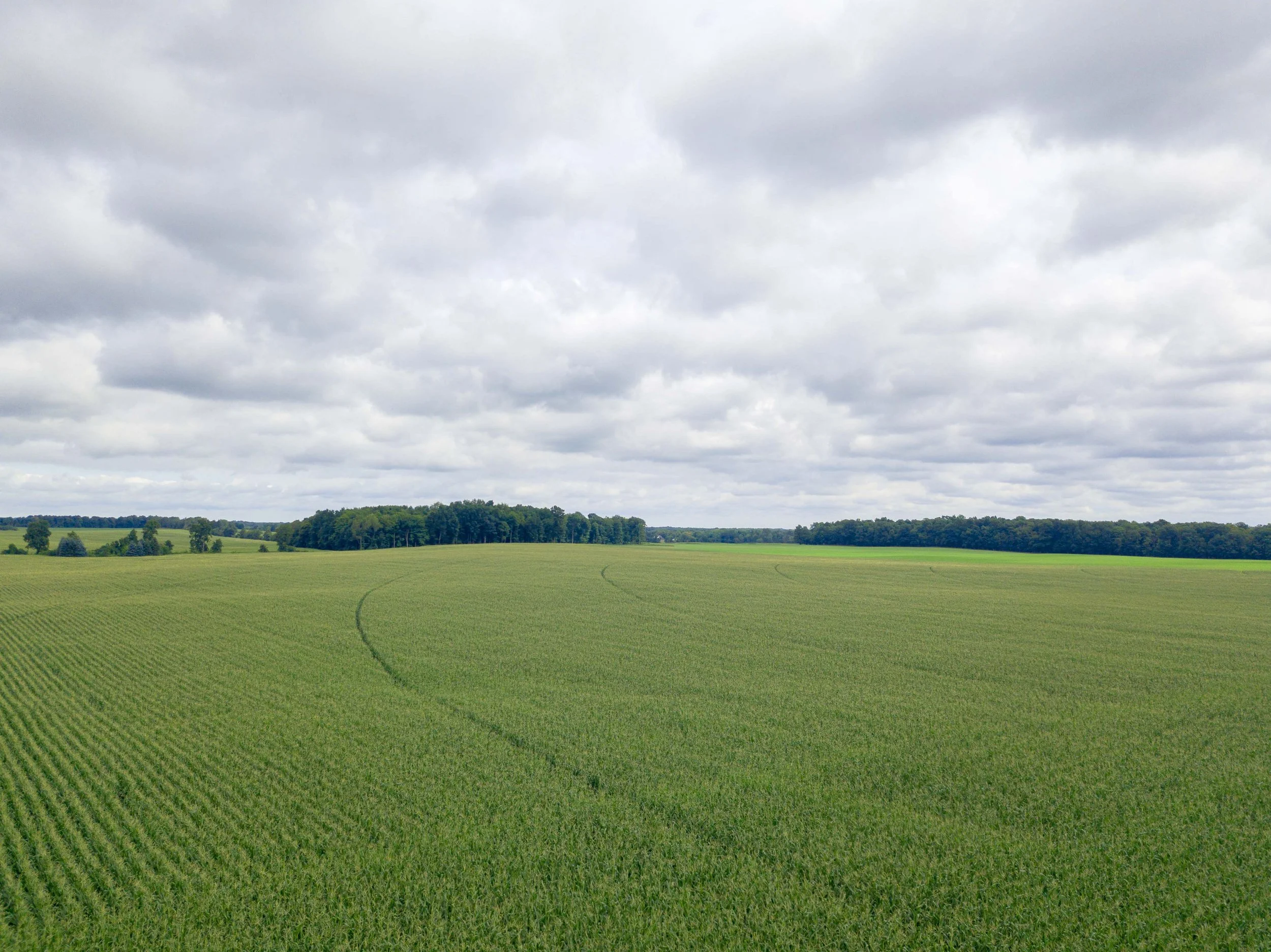Over 1,000 acres protected by Stein Farms in Genesee County.