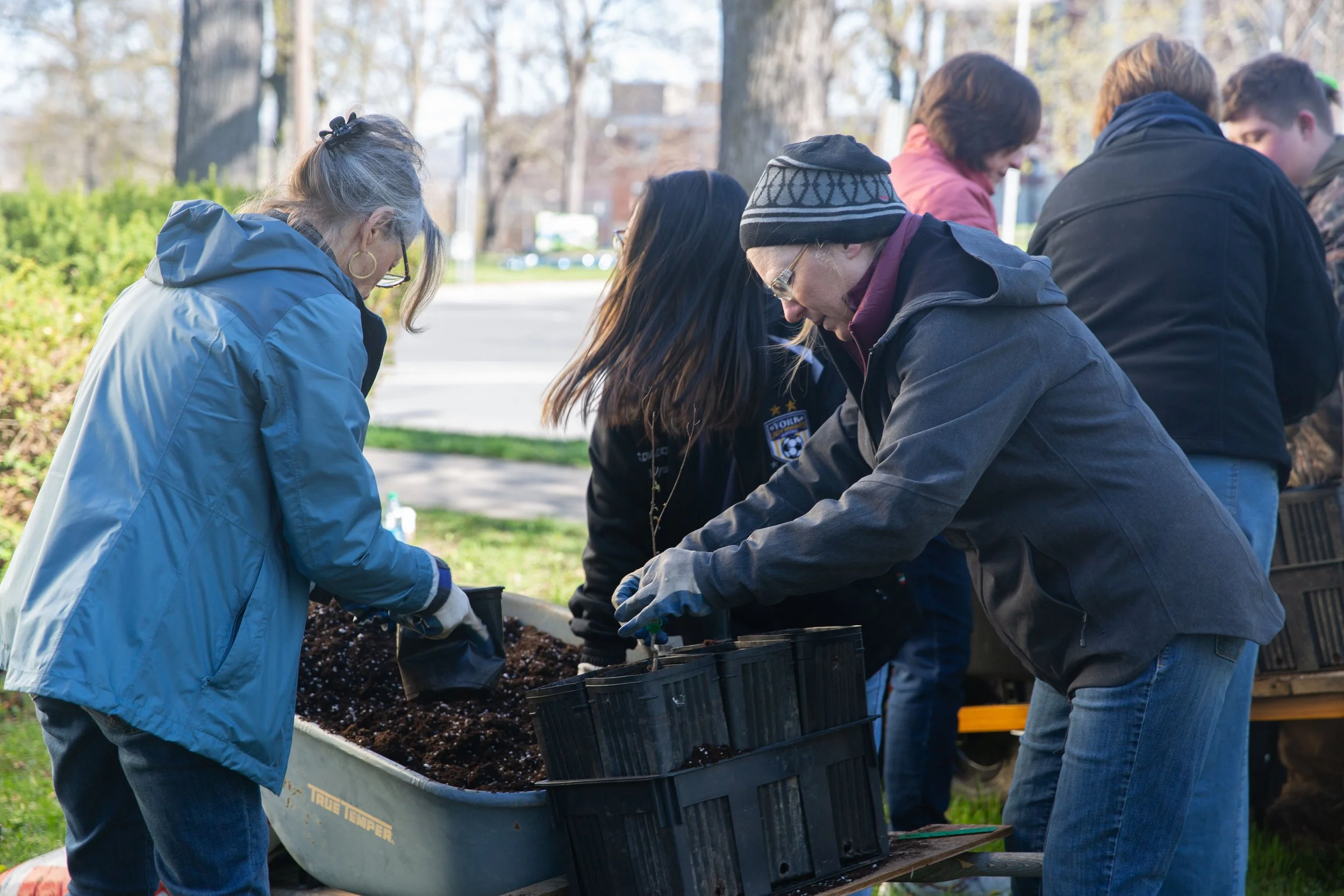 Tree Potting Day