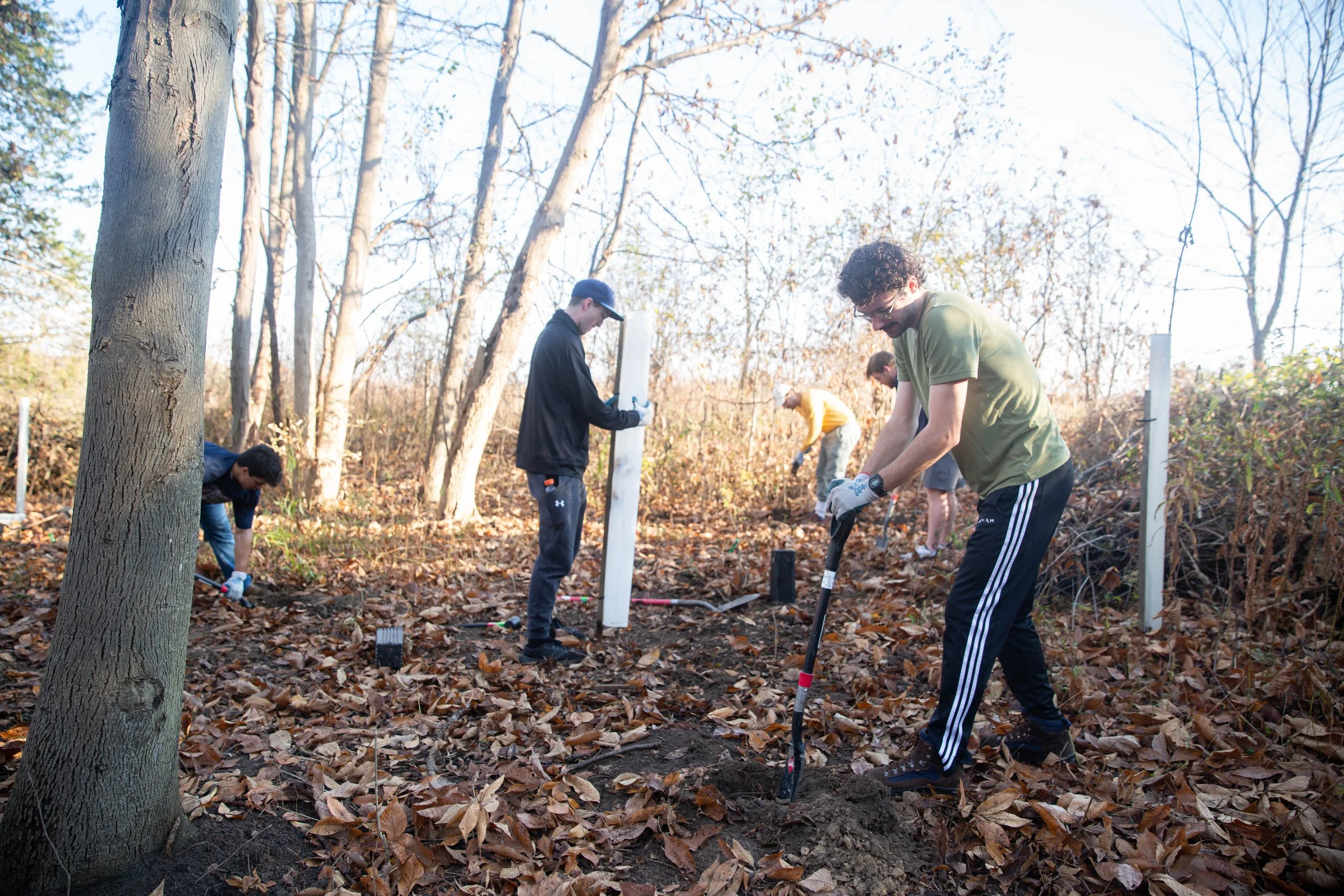 Tree Planting at Island Preserve - Earth Week Event