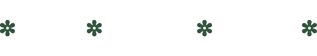 Quiz - Teams - Prizes