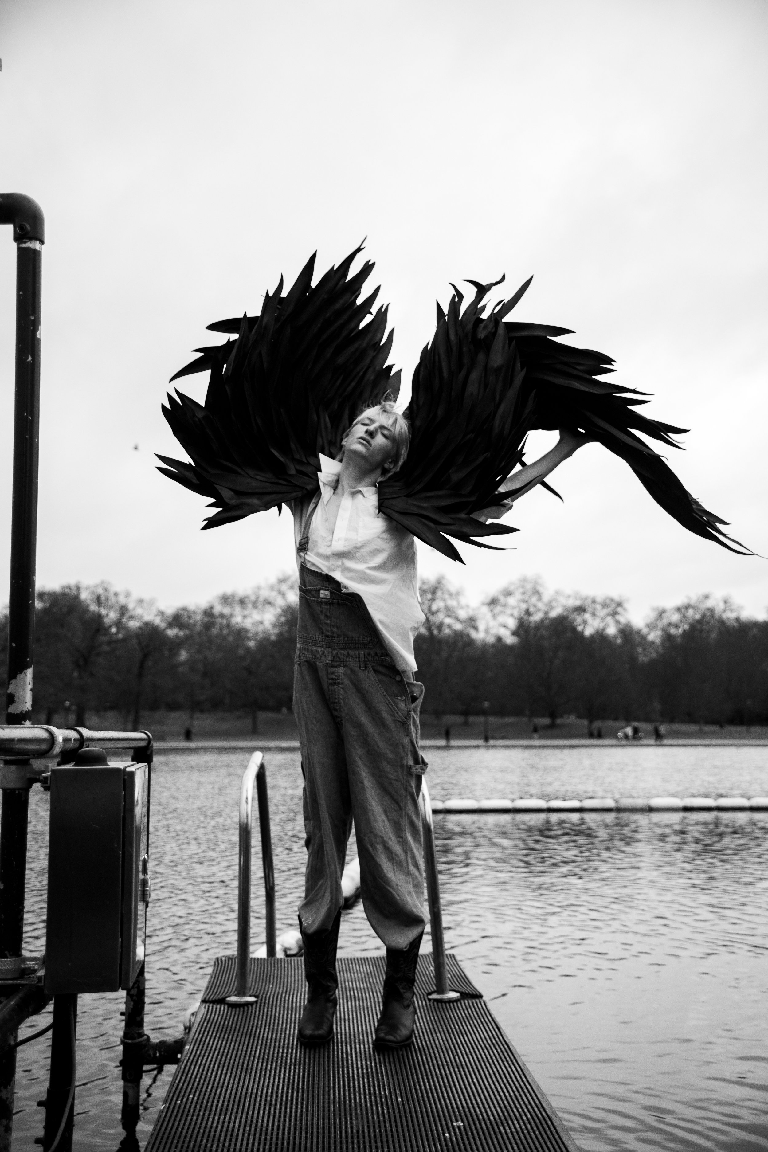 THE CITY IS NO PLACE FOR A BIRD - ROLL UP MAGAZINE, NY