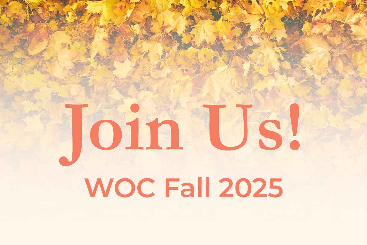 Looking ahead to Fall 2025 with WOC