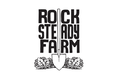 Director of Resource Mobilization &amp; Communications