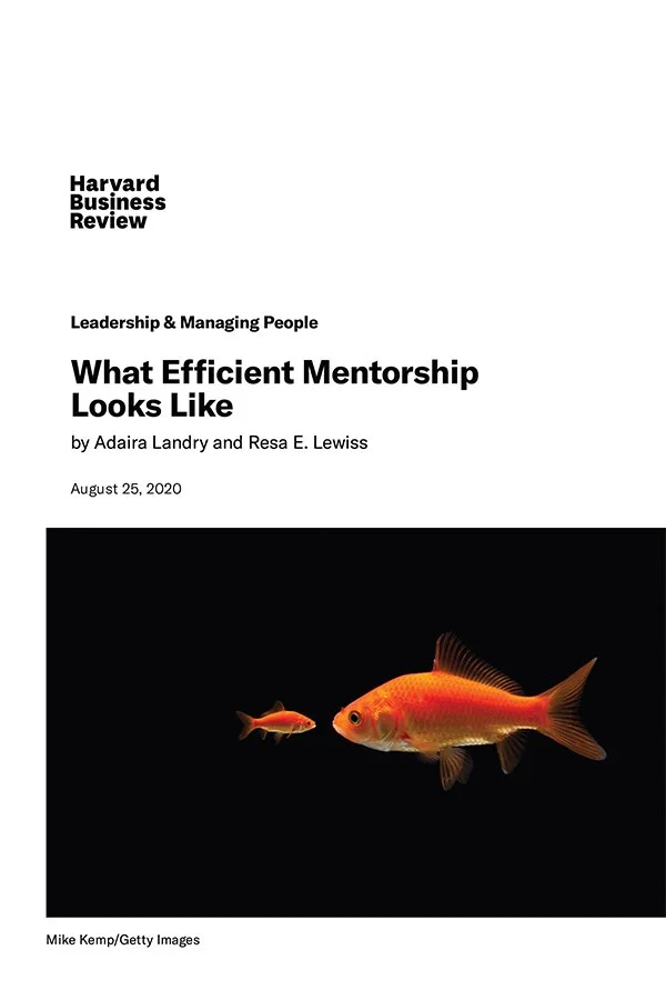 What Efficient Mentorship Looks Like