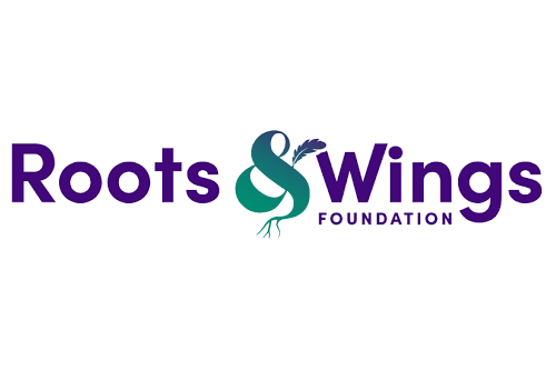 Program Manager, Safety &amp; Justice and Basic Needs