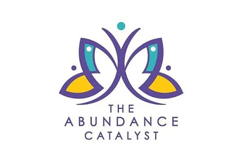 Lead Fundraising Consultant