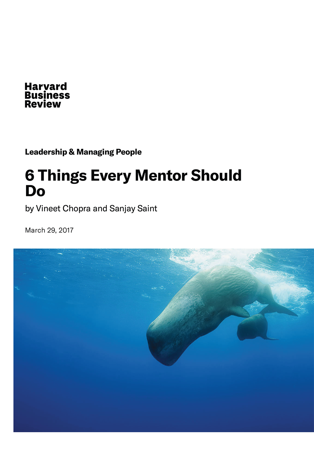 6 Things Every Mentor Should Do