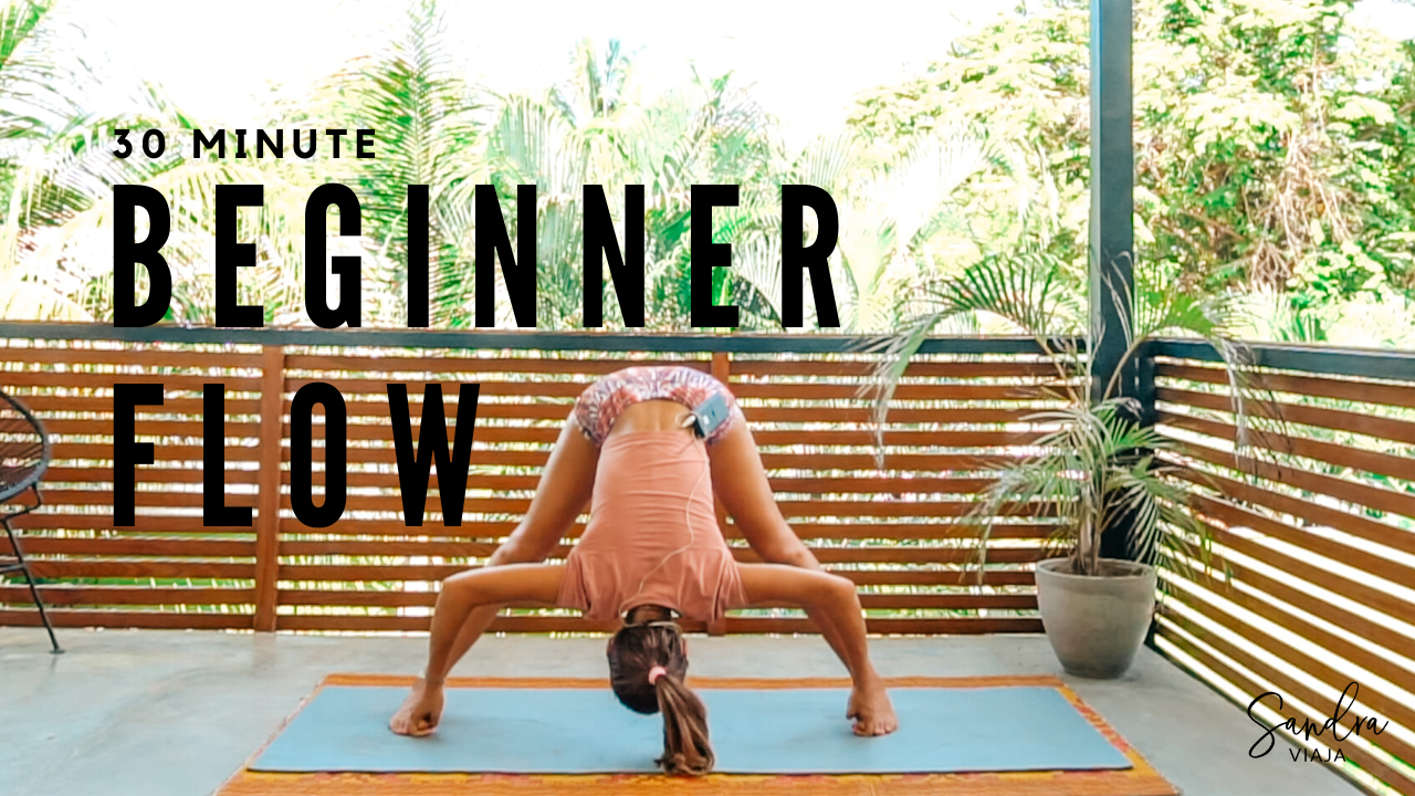 30 Minute Beginner Vinyasa Flow
