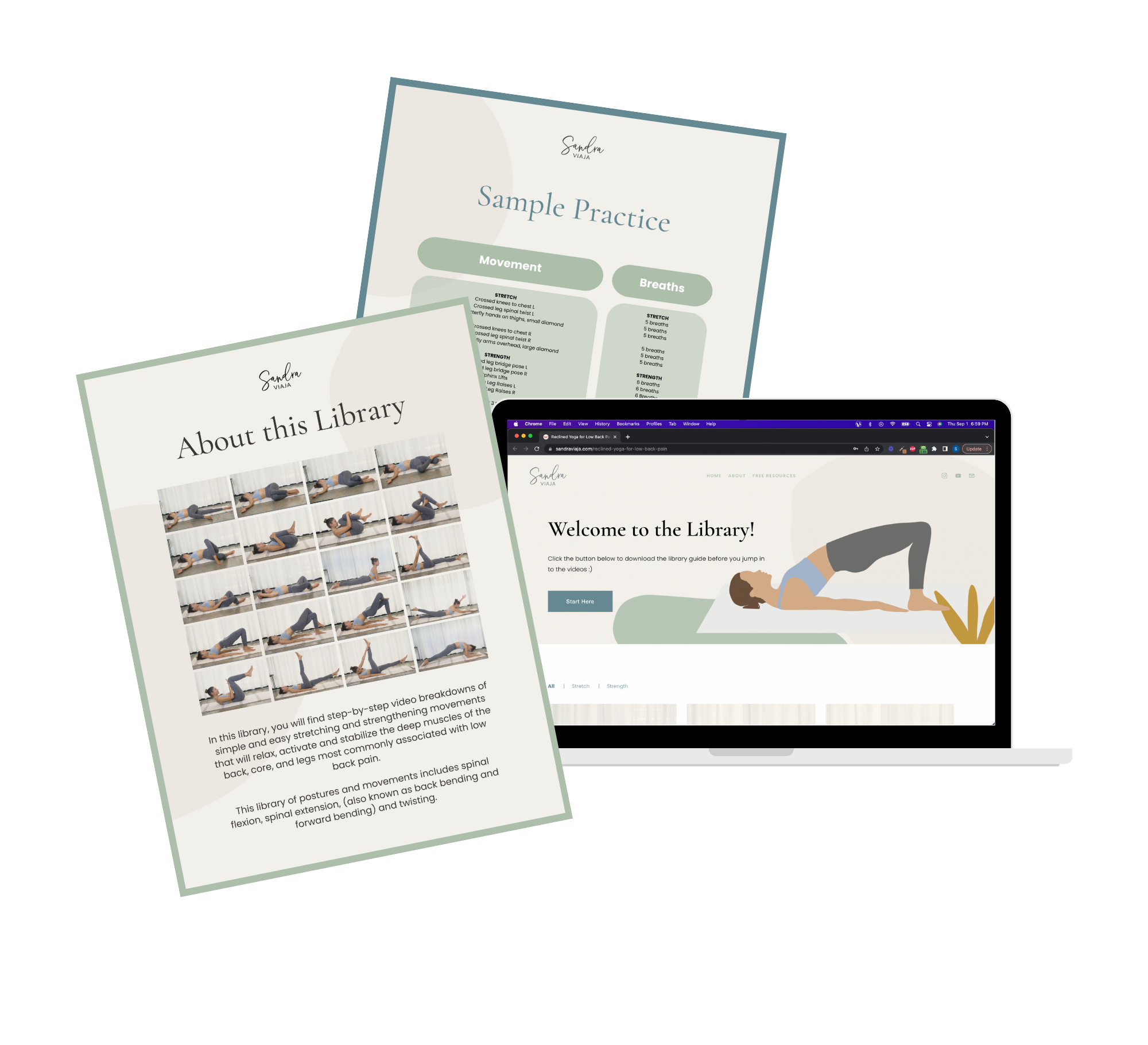 Reclined Yoga for Low Back Pain Library
