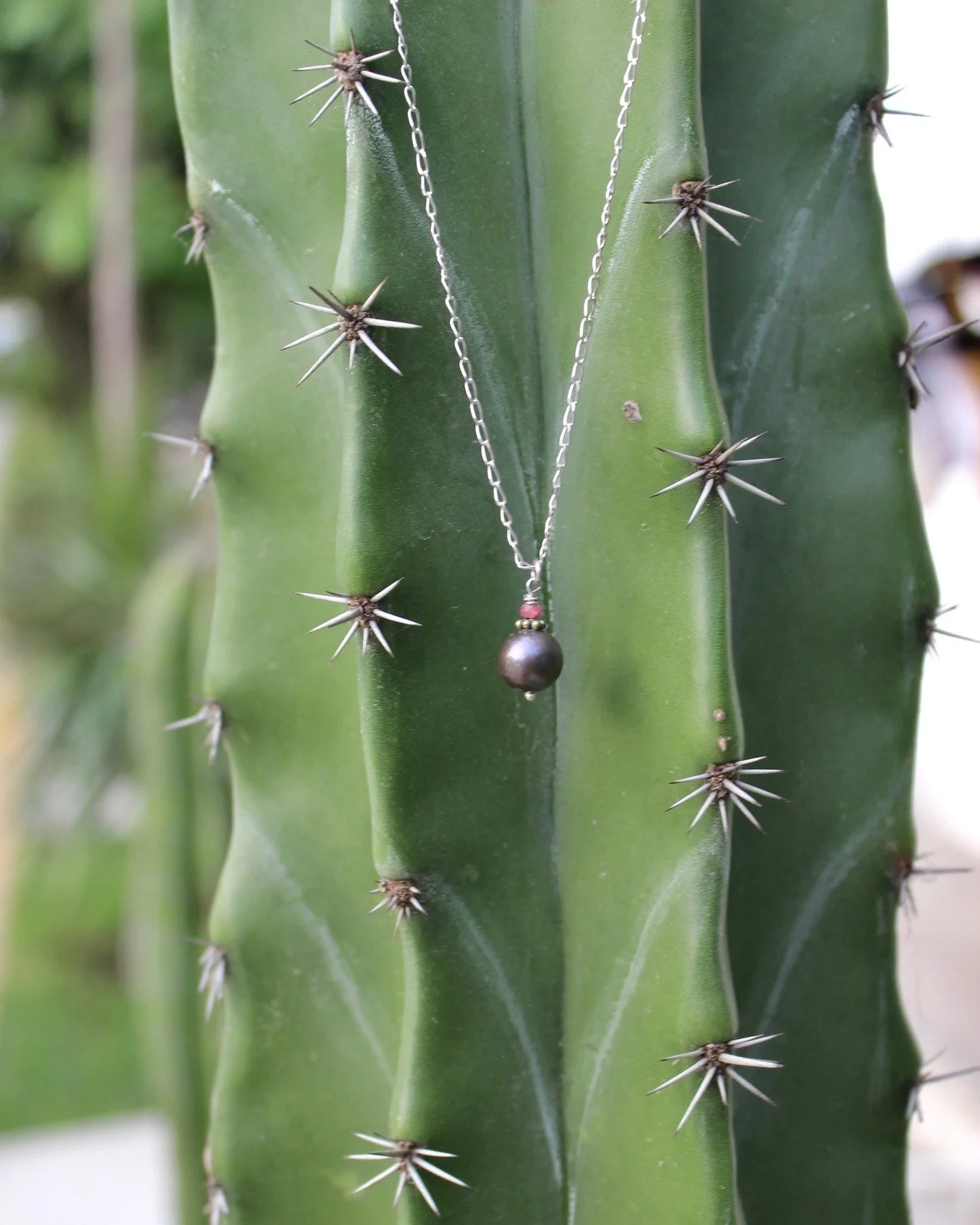 Welcome into this universe of jewellery
&bull;
&bull;
#lunaria #accesorios #moda #mexico #modaenmexico #fashionjewelry #fashion #trendy #hechoamano #hechoenmexico #lunariaannuamx #handmade #handmadejewelry #uniquejewelry #turquesa #uniquepiece #soul 