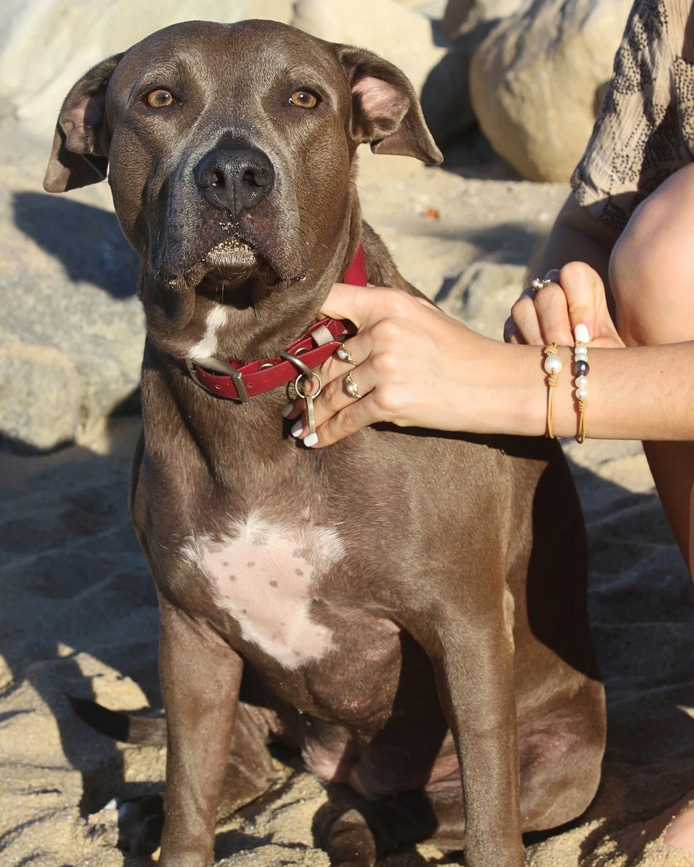 Nestled in the Paradise
&bull;
&bull;
#perla #joyeria #modamexicana #hechoenmexico #hechoamano #jewelry #pearl #fashionjewelry #gemstones #boho #etsy #lunariaannuamx #perlanegra #stones #tropical #healingjewelry #trendy #mermaid #consumelocalmx #mexi