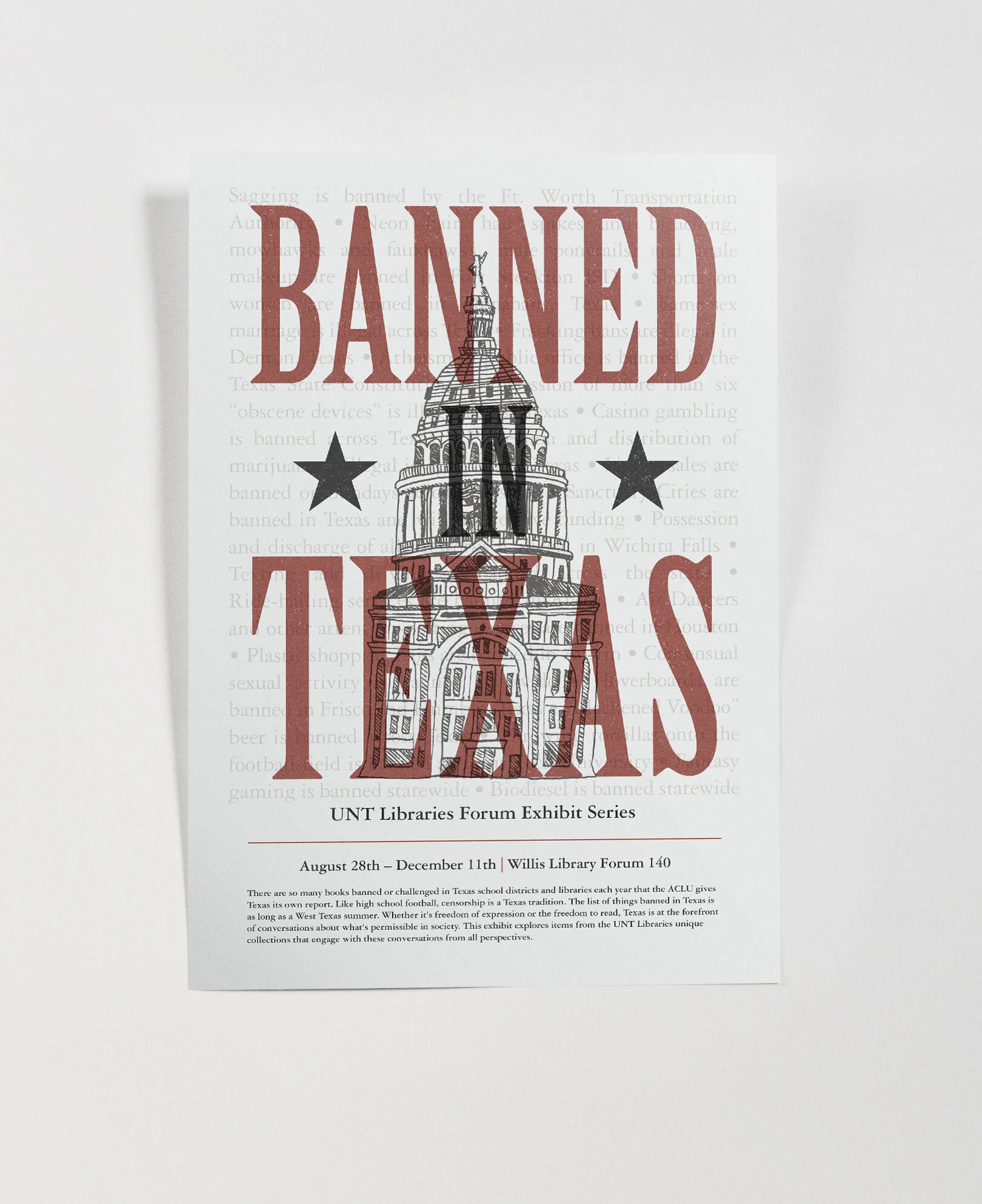 Banned in Texas portfolio.jpg