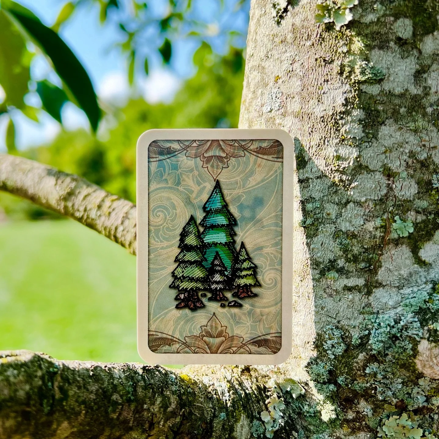 “I took a walk in the woods and came out taller than the trees.”
~ Henry David Thoreau
It’s #MysteryMonday🎲 & @PlayedByMLI has chosen today’s theme of FOREST. 🌲
▫️▫️▫️
I’ll be surprised if anyone knows this older