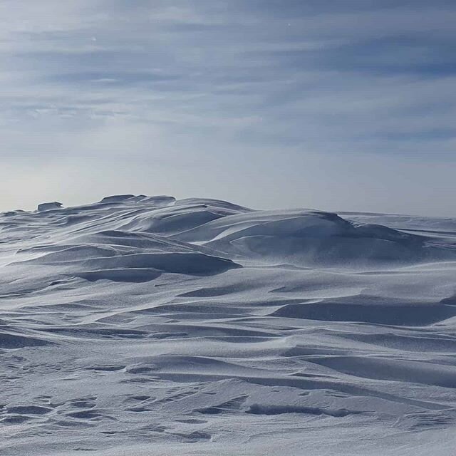 Had to make my way through some 350 km of non-stop sastrugi on my trip. They are like waves in an ocean of snow and ice. Beautiful to look at, awful to ski through 
#thestruggleisreal #sastrugi #wind #waves #ocean #snow #ice #antarctica #southernsoli