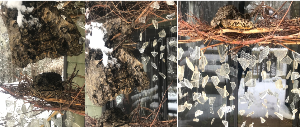 Circles of Time in Snow