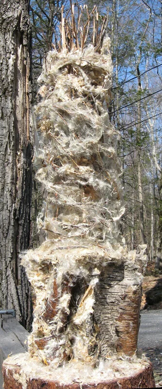 TowerEphemerality2(left).jpg