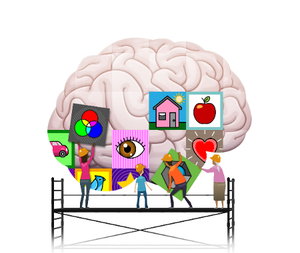Building Brains For Lifelong Health | AFWI | Oxford Brain Story