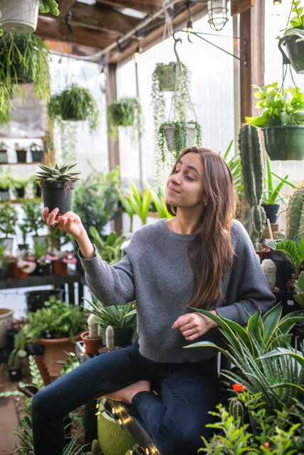 Cait Khosla is the founder and CEO of Botany Box - a company created in 2018 with one goal: to make it easier to bring green life indoors. She is an expert in horticulture, social platforms, and digital marketing. After graduating from Roanoke College in 2015 with a BA in psychology and communications, she began her career in strategic social media marketing at venture backed startups before founding Botany Box.  After moving to NYC, she started to grow Botany Box and was inspired to find a resolution for reasonably priced plants that anyone can keep to inspire them to grow their green thumb. With her recent move to LA, she is working to expand operations in proximity to plant distributors, launch additional merchandise, houseplants, and more. And she continues to host virtual plant workshops in both NYC and LA communities through corporate partnerships! - 