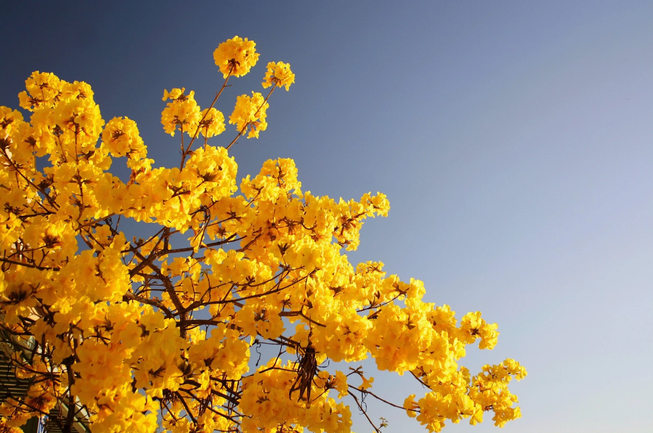 April I Issue: Poetry Roundup