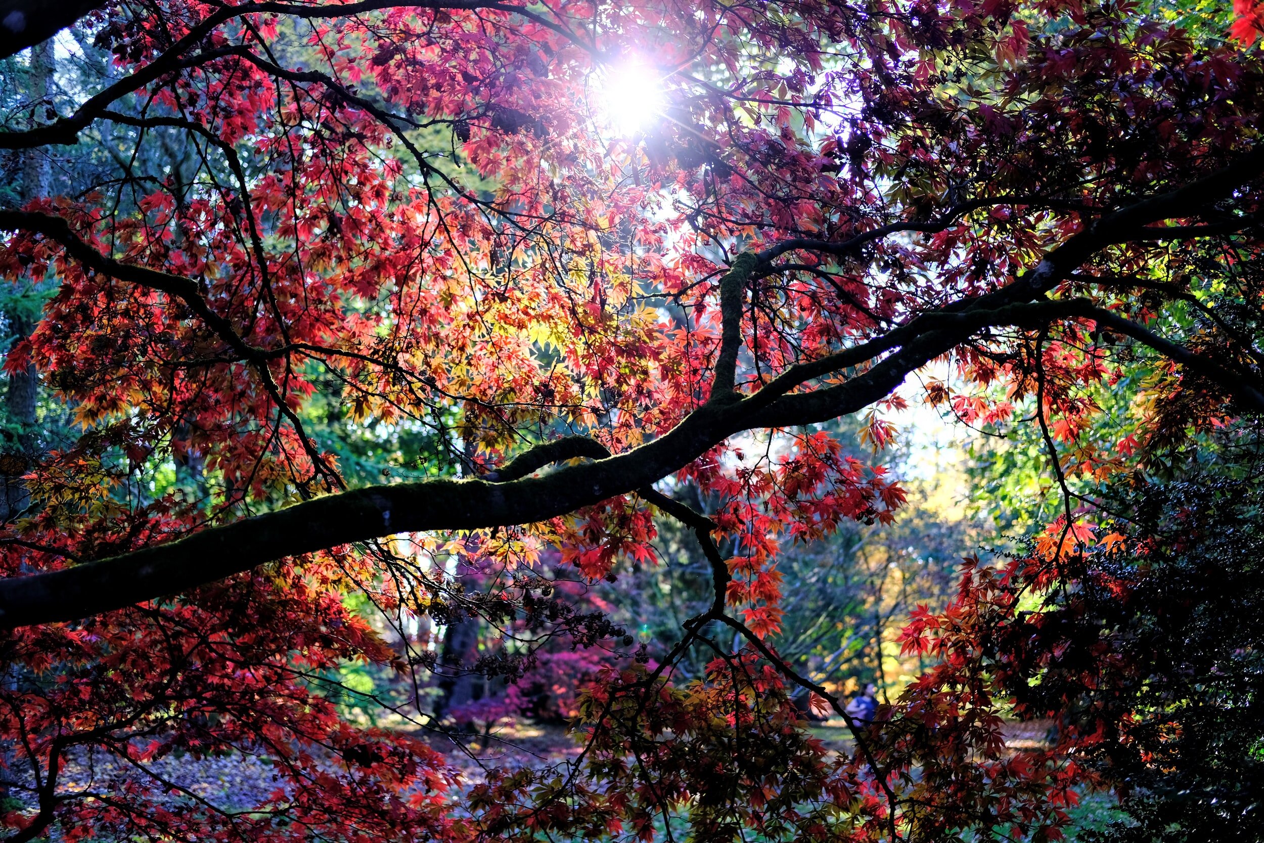 April II Issue: Poetry Roundup