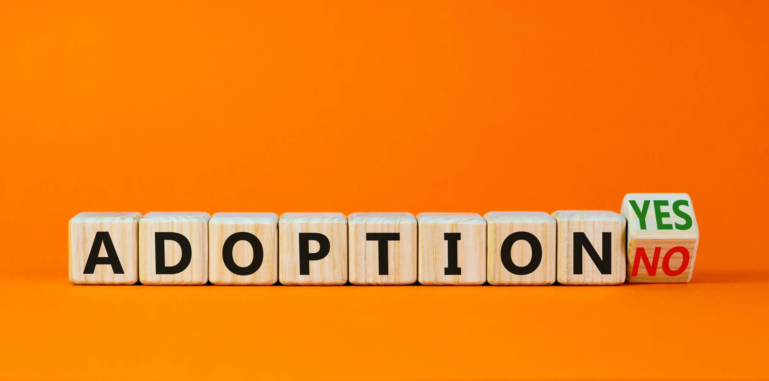 Abortion &amp; Adoption