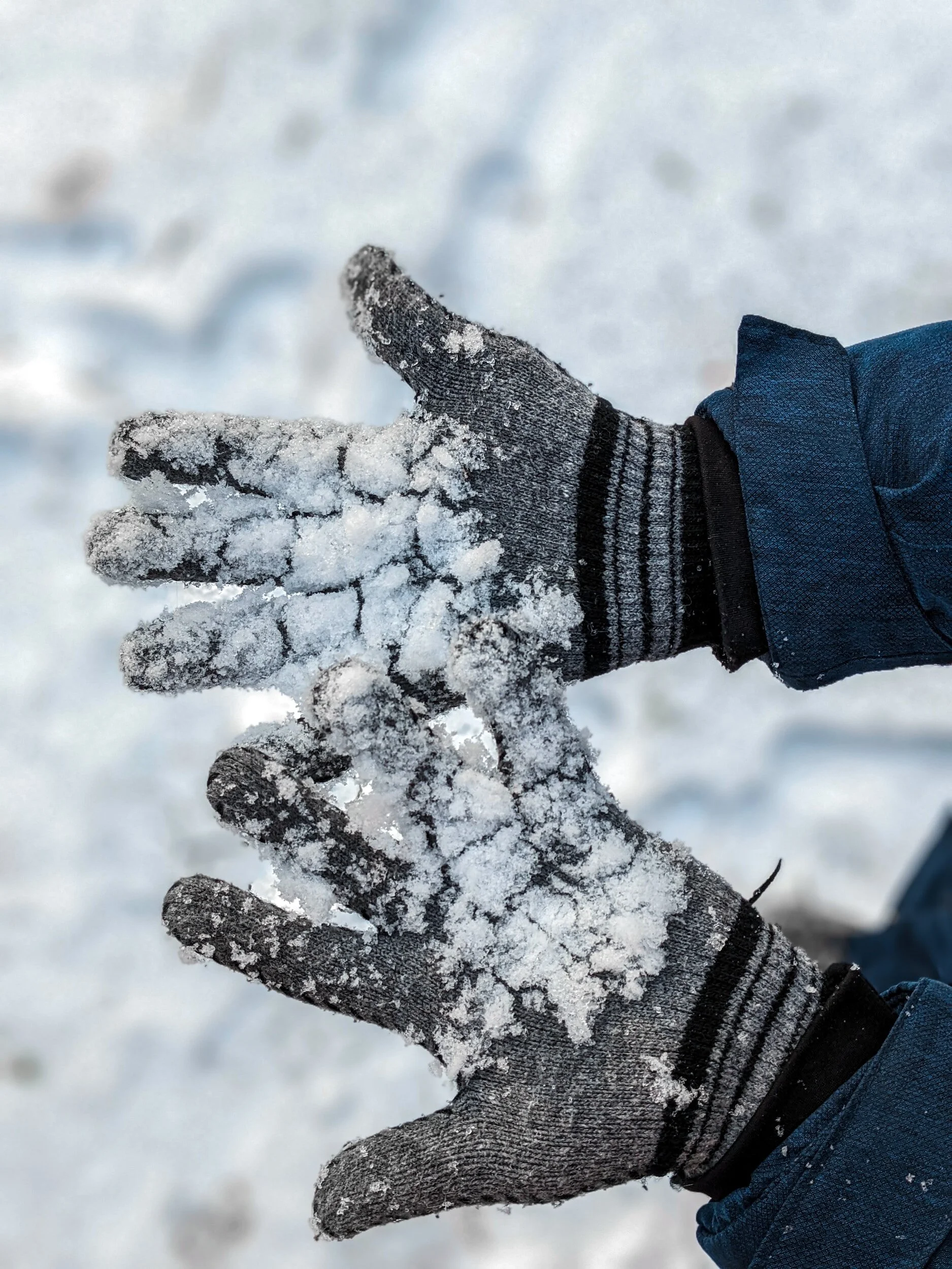 Forever Winter (Rome’s Version)