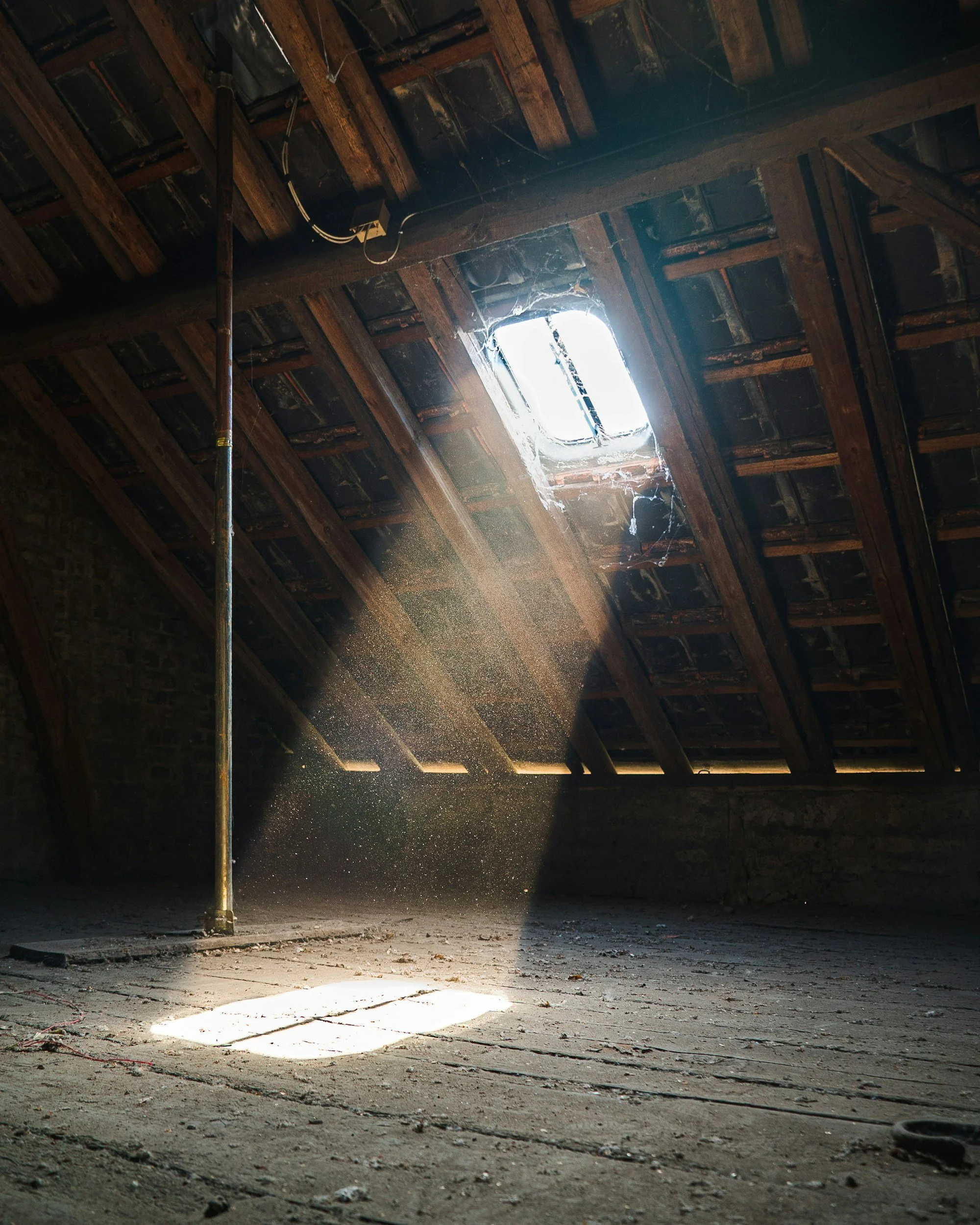unsplash-image-9TvuxGW8ut0.jpg