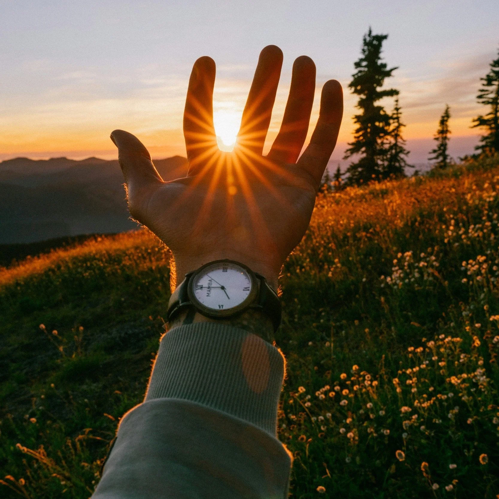 unsplash-image-DfteCt2Wyvc.jpg