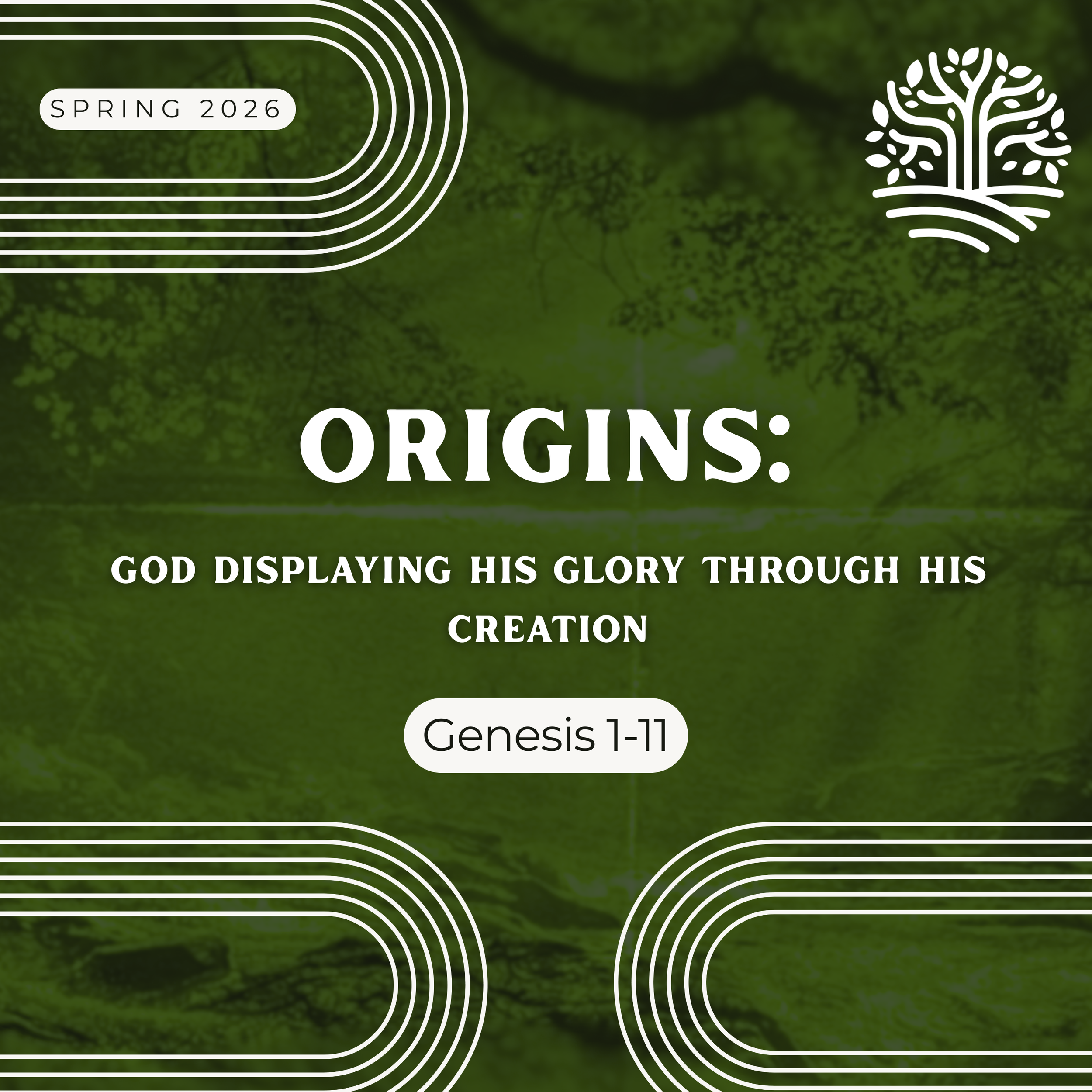 Origins - In the Beginning