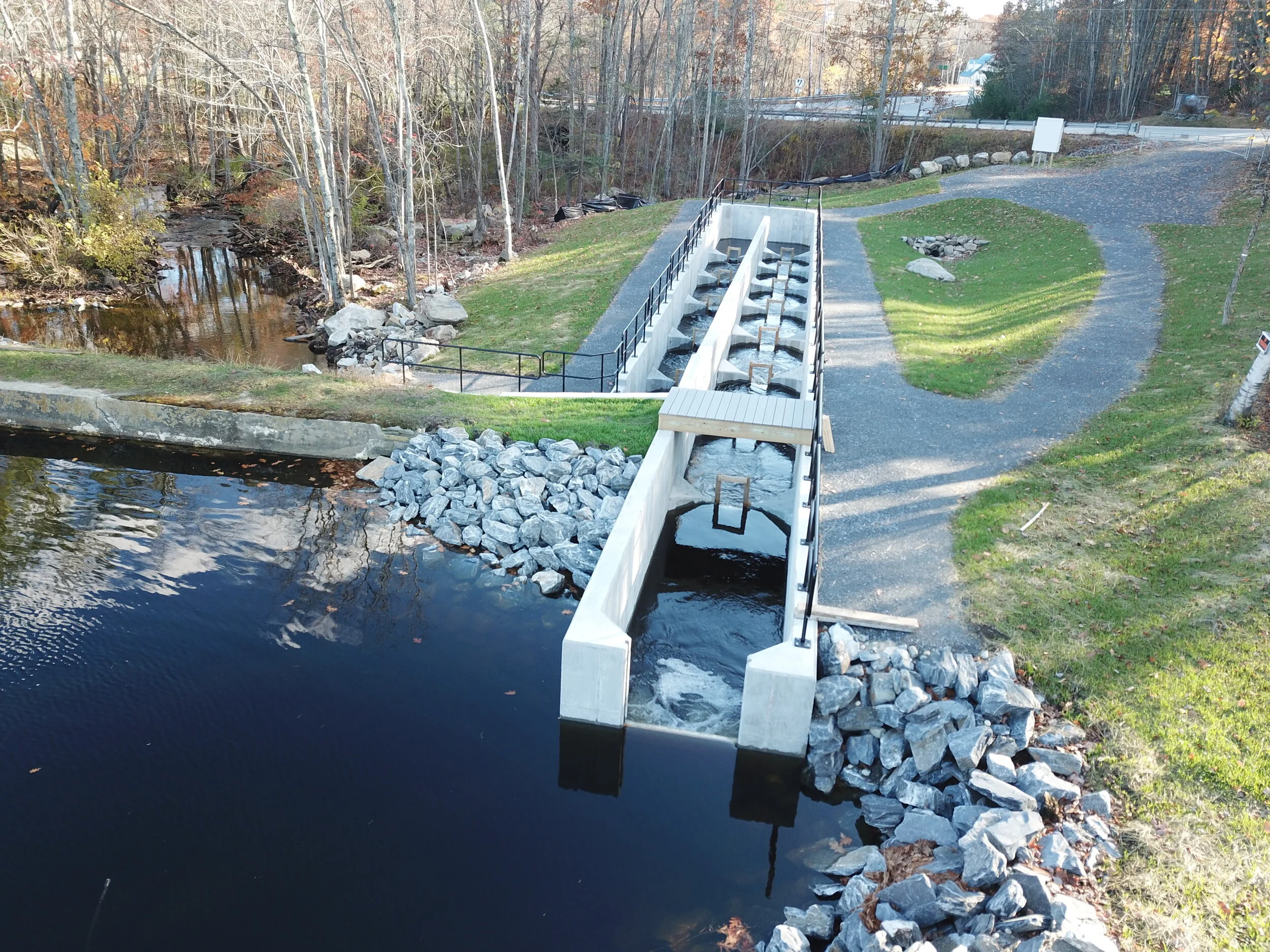 2020 Membership Drive