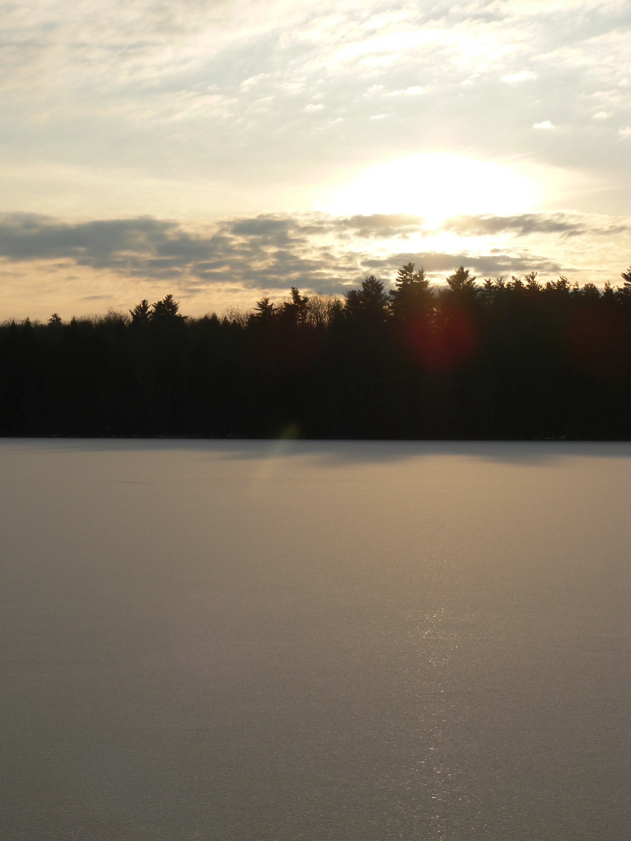 Membership Drive, Watershed Updates, and More!