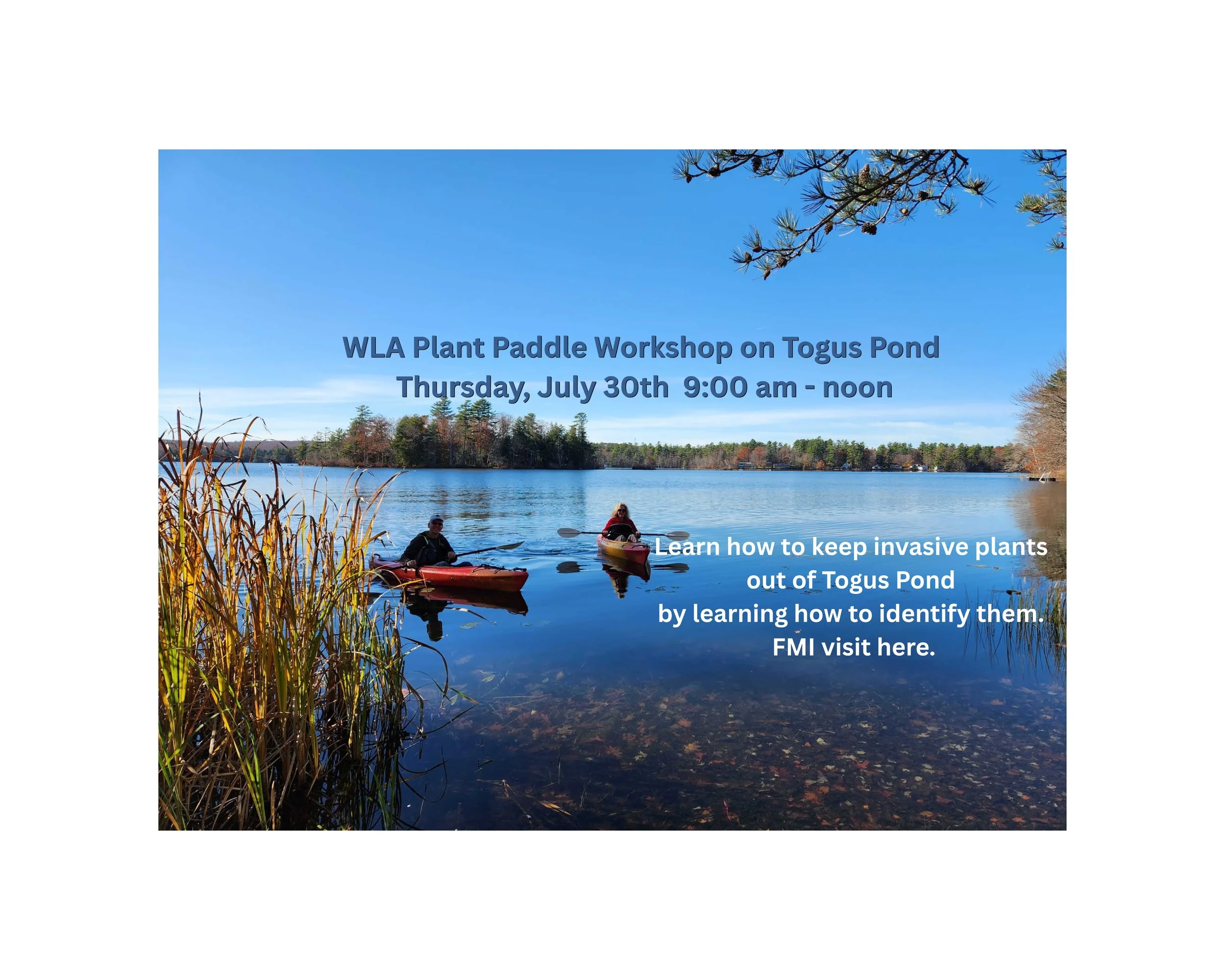 WLA Plant Paddle Workshop on Togus Pond(1).jpg