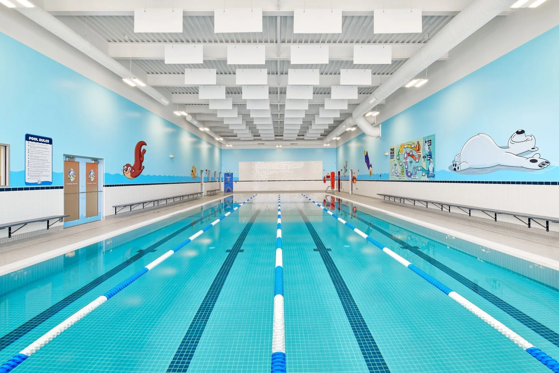 True Blue Swim School-19b (Hi Res).jpg