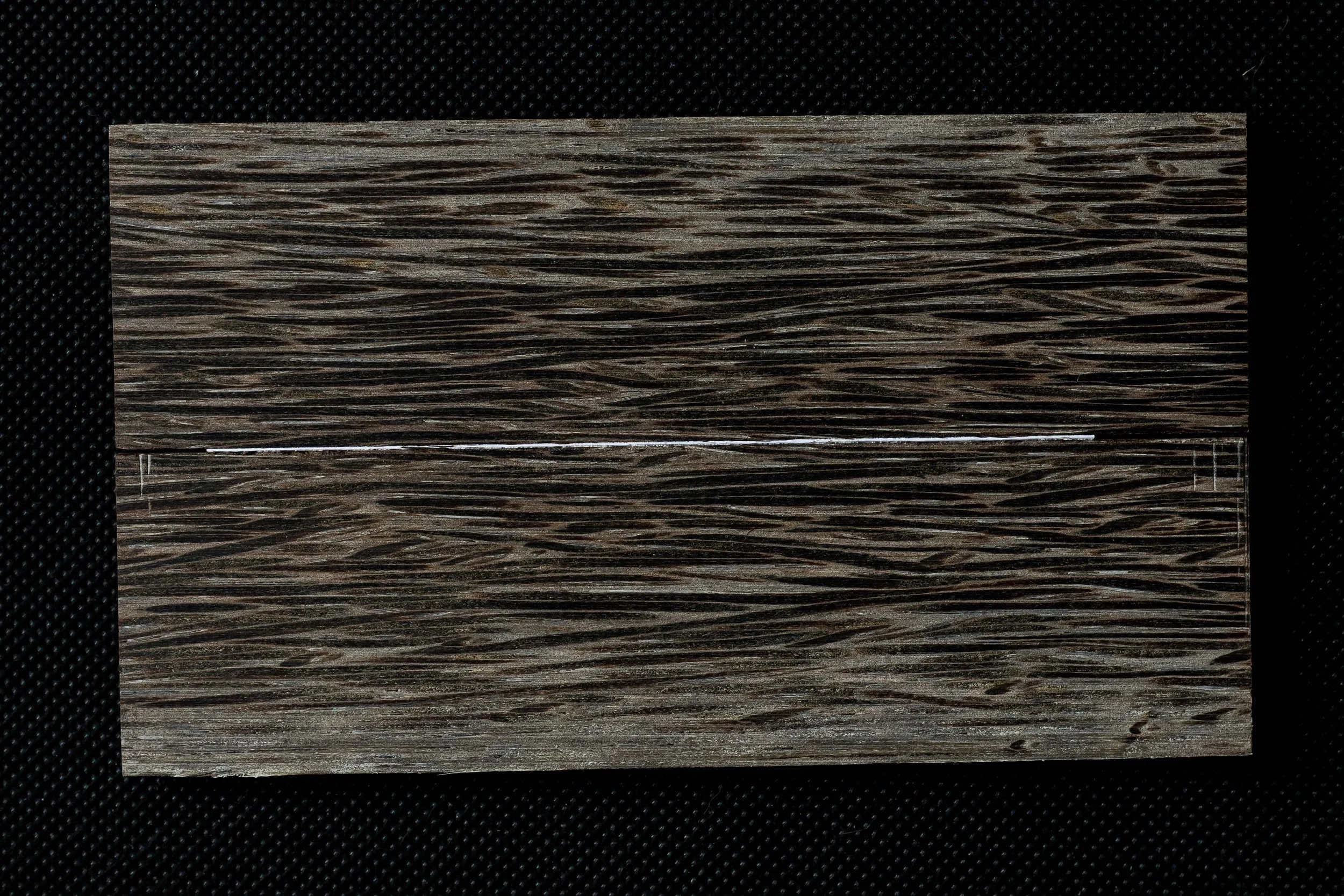 Palmier Noir Stabilisé